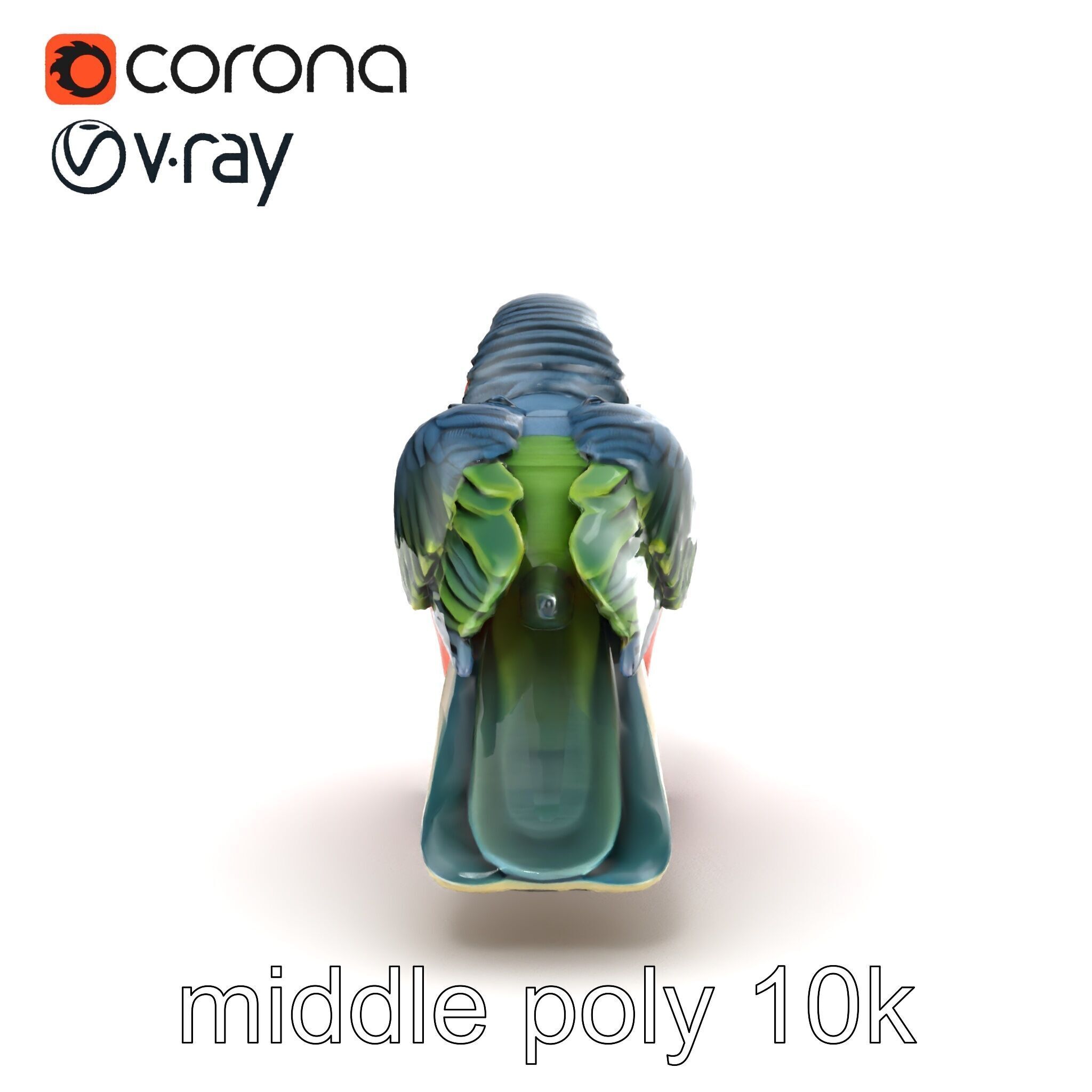 Vibrant Parrot Species Characteristics model pack Low-poly 3D model_24