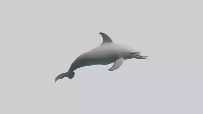 River Dolphin hunting model Low-poly 3D model
