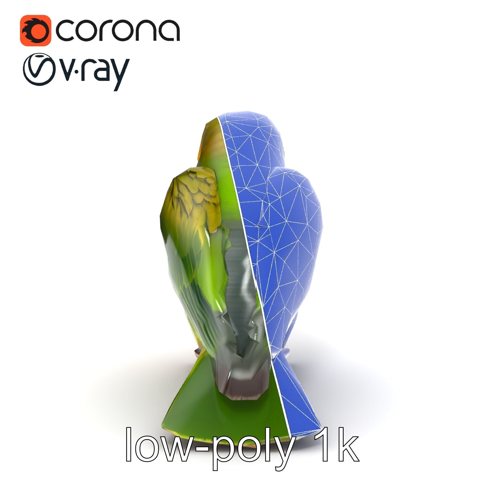 Senegal Parrot Realistic Bird Model Pack Low-poly 3D model_25