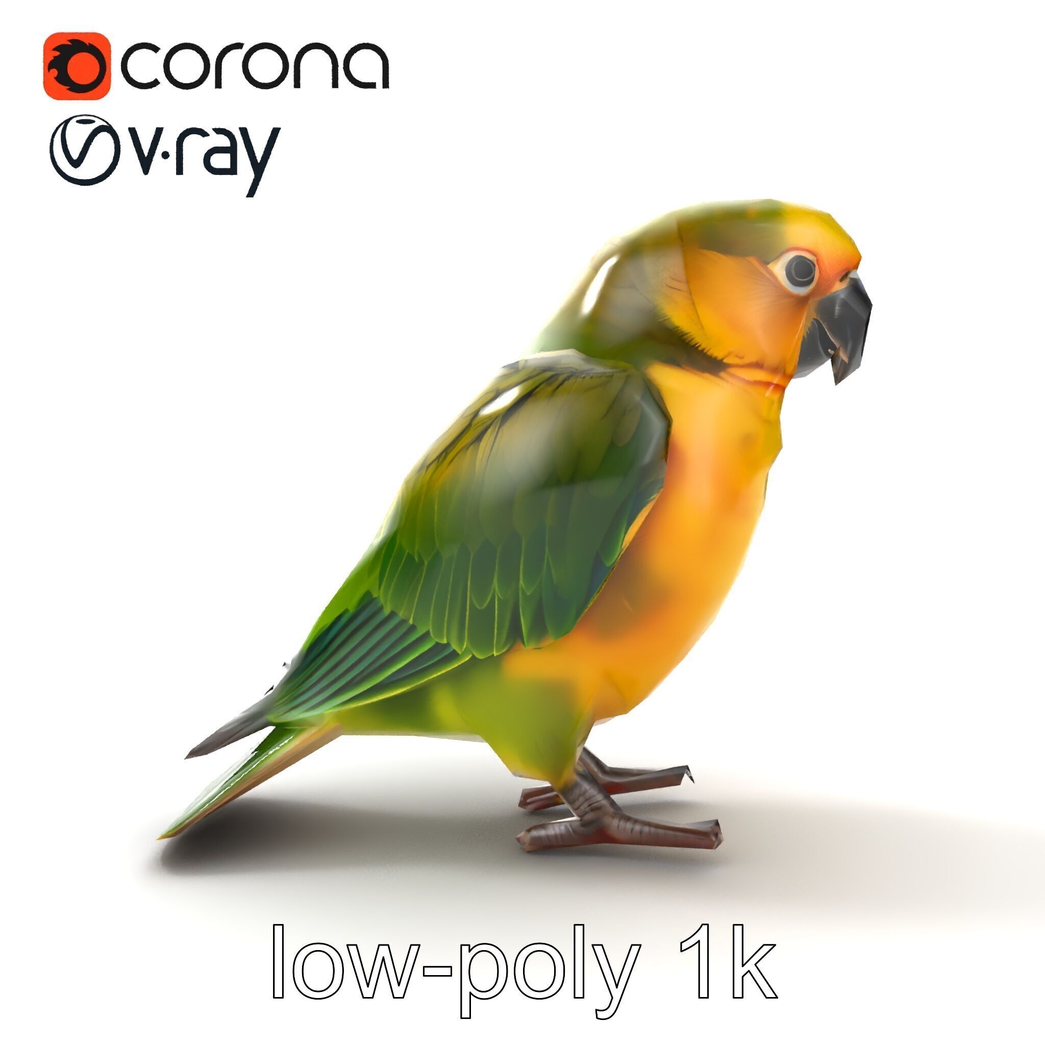 Senegal Parrot Realistic Bird Model Pack Low-poly 3D model_20