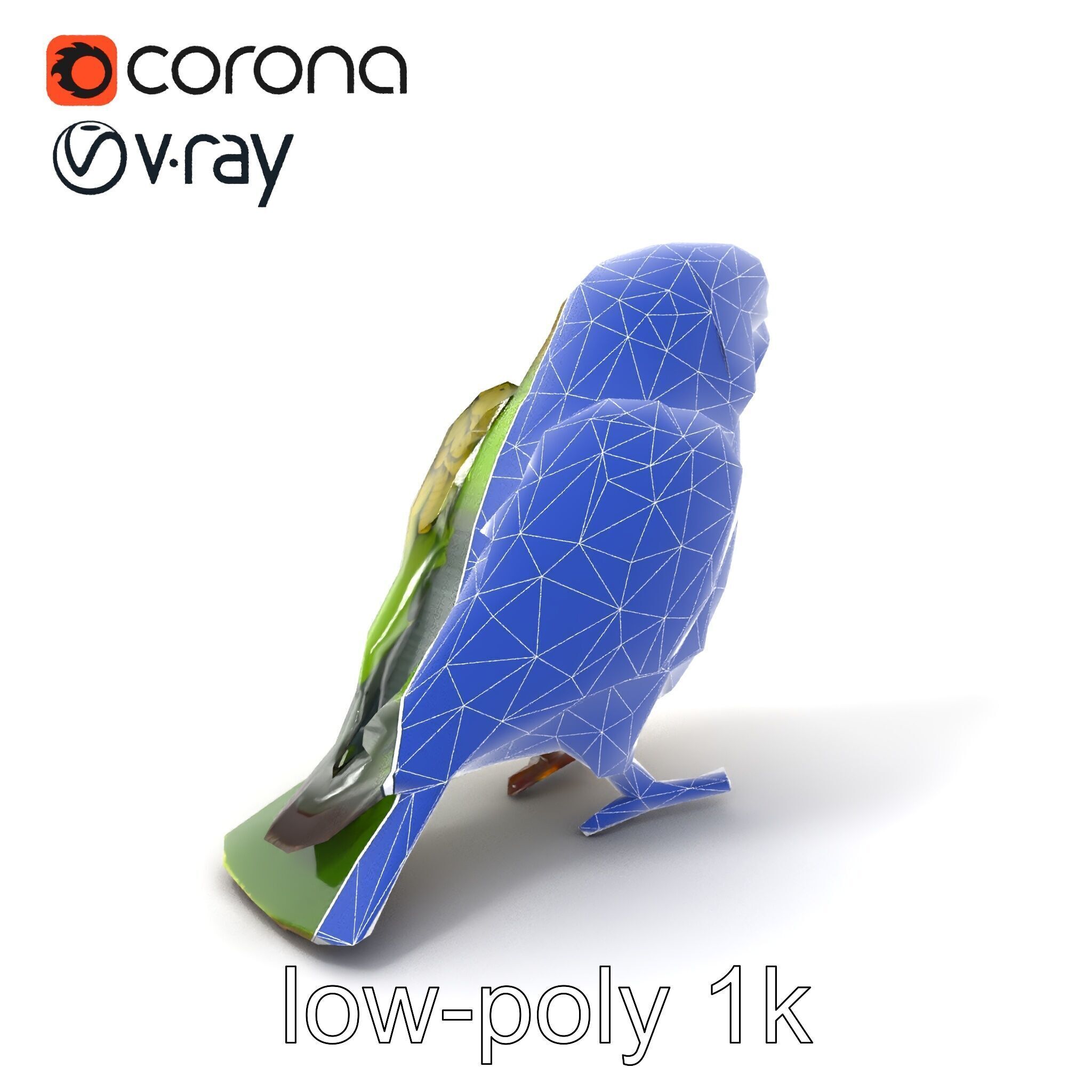 Senegal Parrot Realistic Bird Model Pack Low-poly 3D model_7