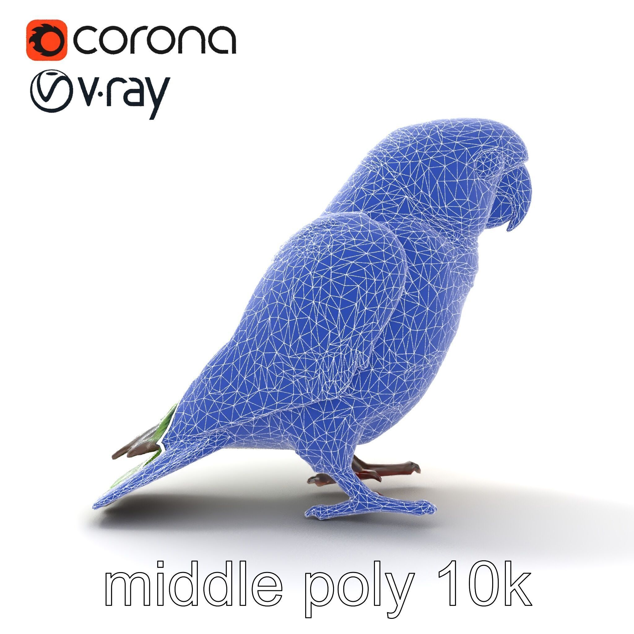 Senegal Parrot Realistic Bird Model Pack Low-poly 3D model_32