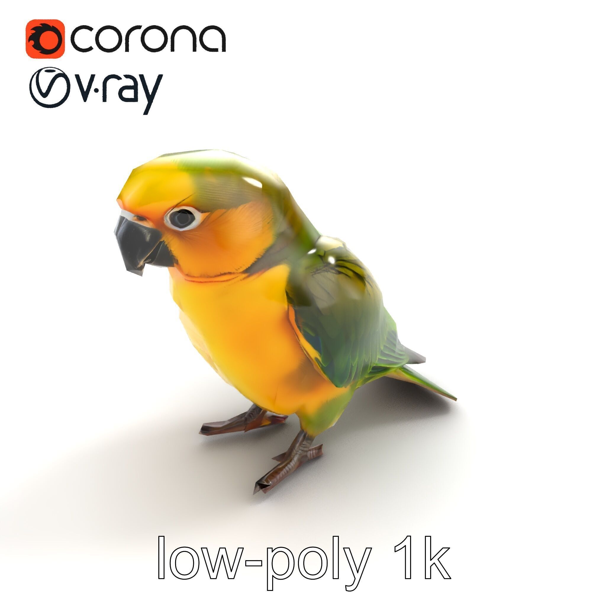 Senegal Parrot Realistic Bird Model Pack Low-poly 3D model_9