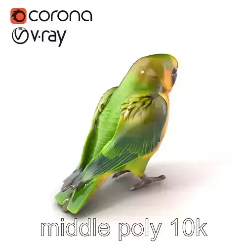 Senegal Parrot Realistic Bird Model Pack Low-poly 3D model