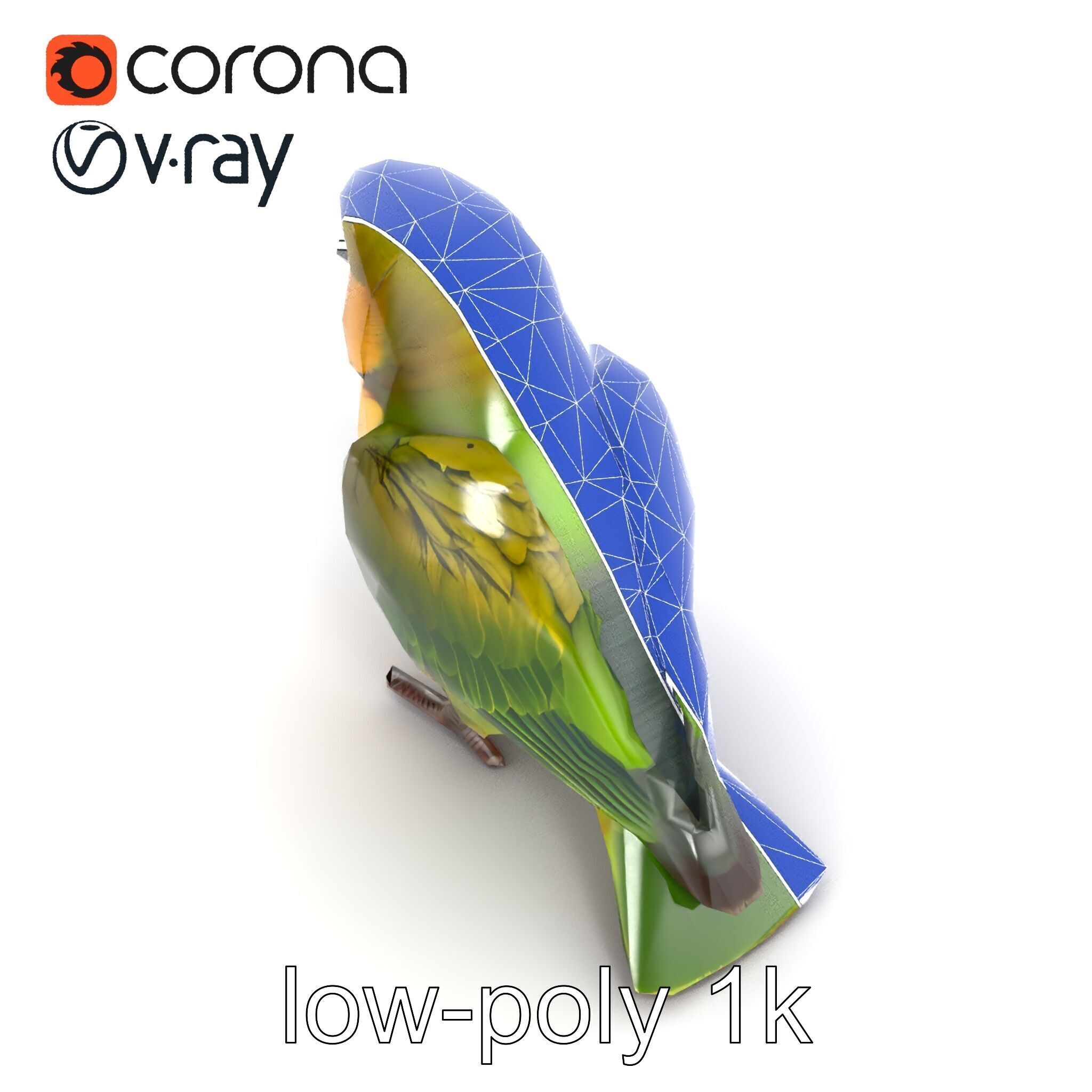 Senegal Parrot Realistic Bird Model Pack Low-poly 3D model_23