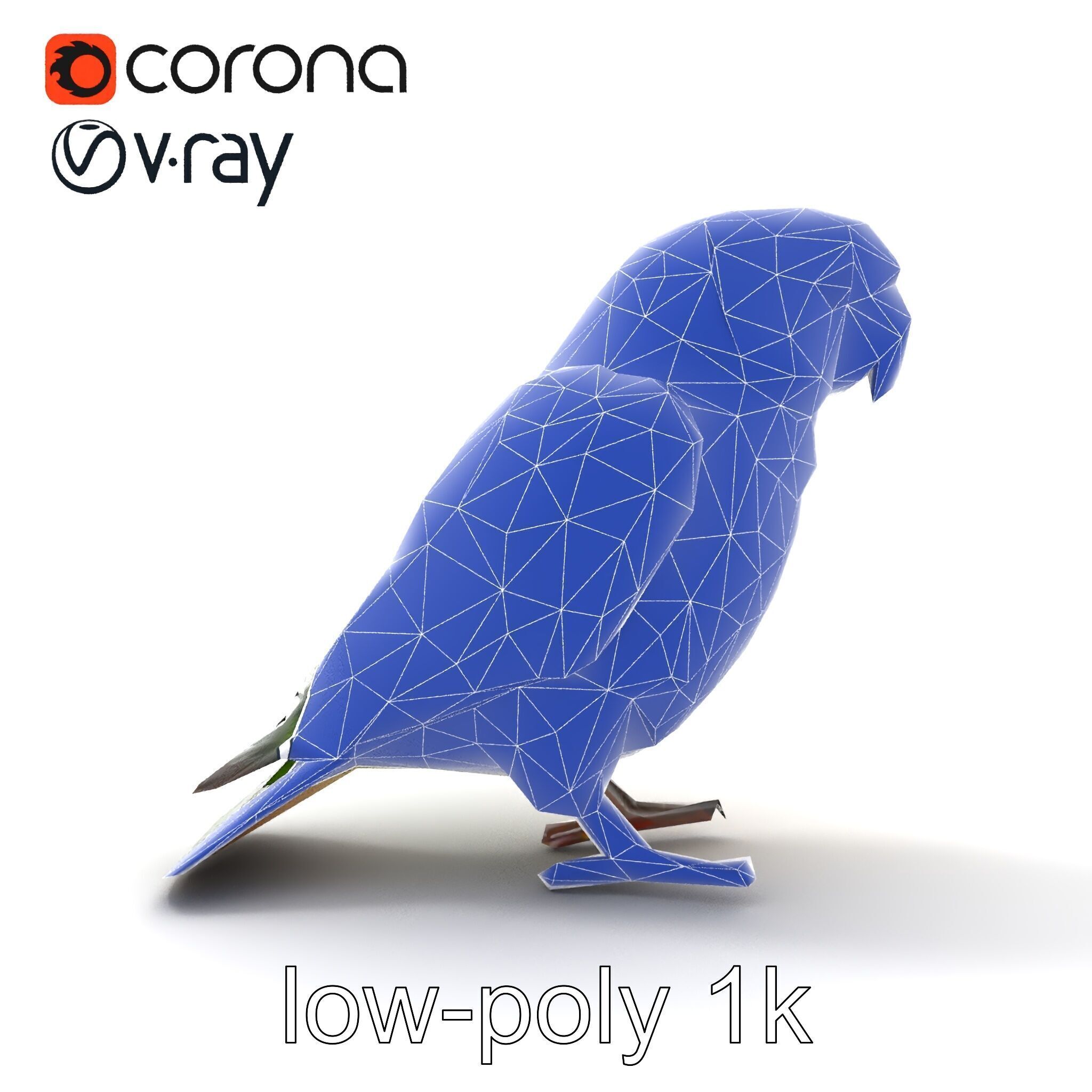 Senegal Parrot Realistic Bird Model Pack Low-poly 3D model_18