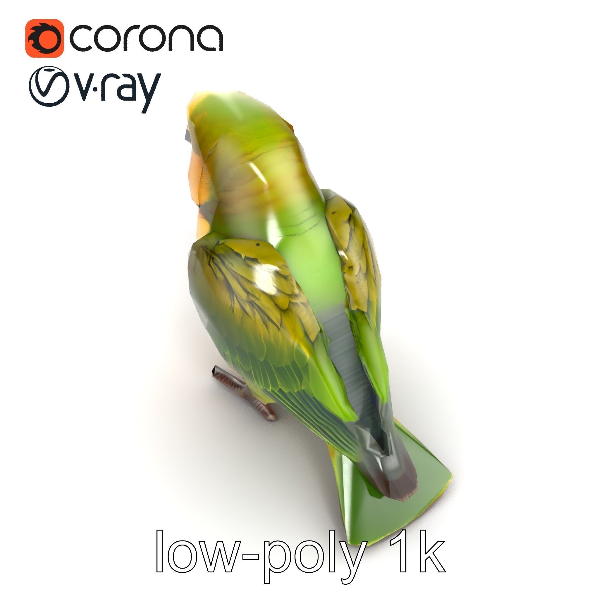 Senegal Parrot Realistic Bird Model Pack Low-poly 3D model_14