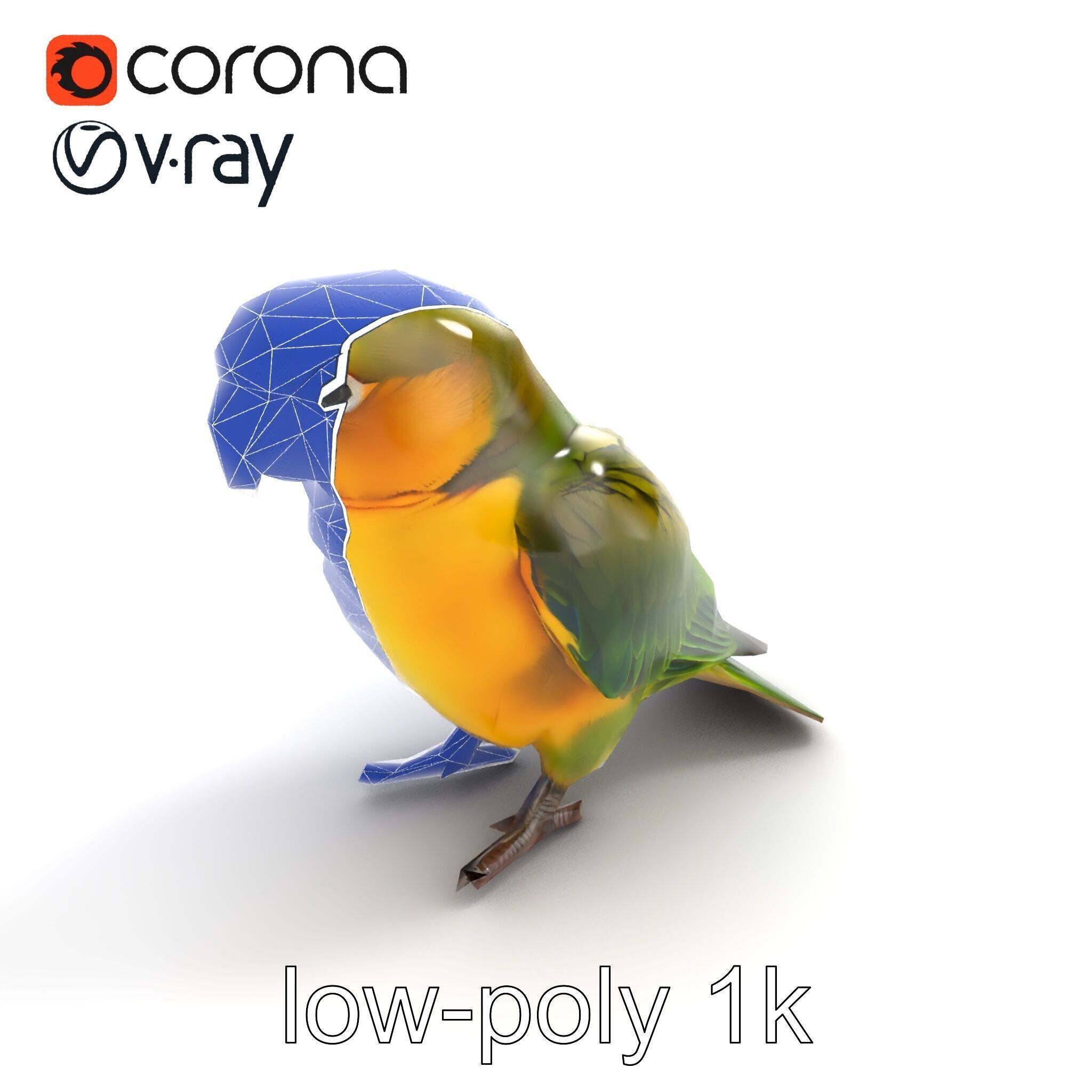 Senegal Parrot Realistic Bird Model Pack Low-poly 3D model_19