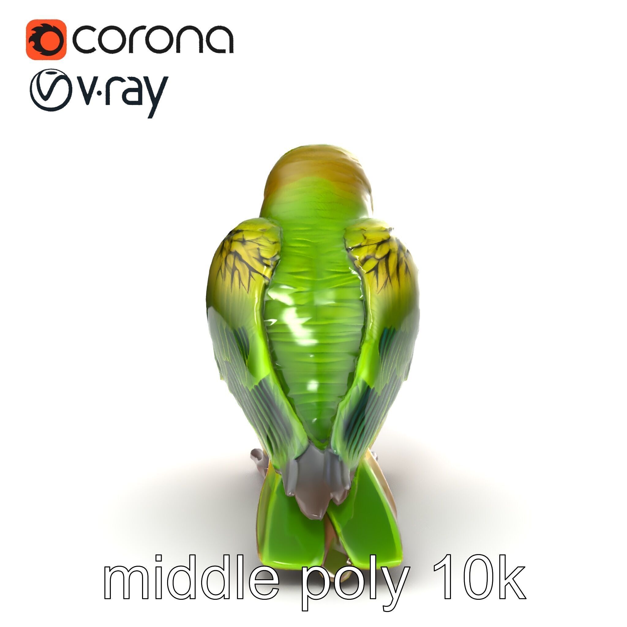Senegal Parrot Realistic Bird Model Pack Low-poly 3D model_12