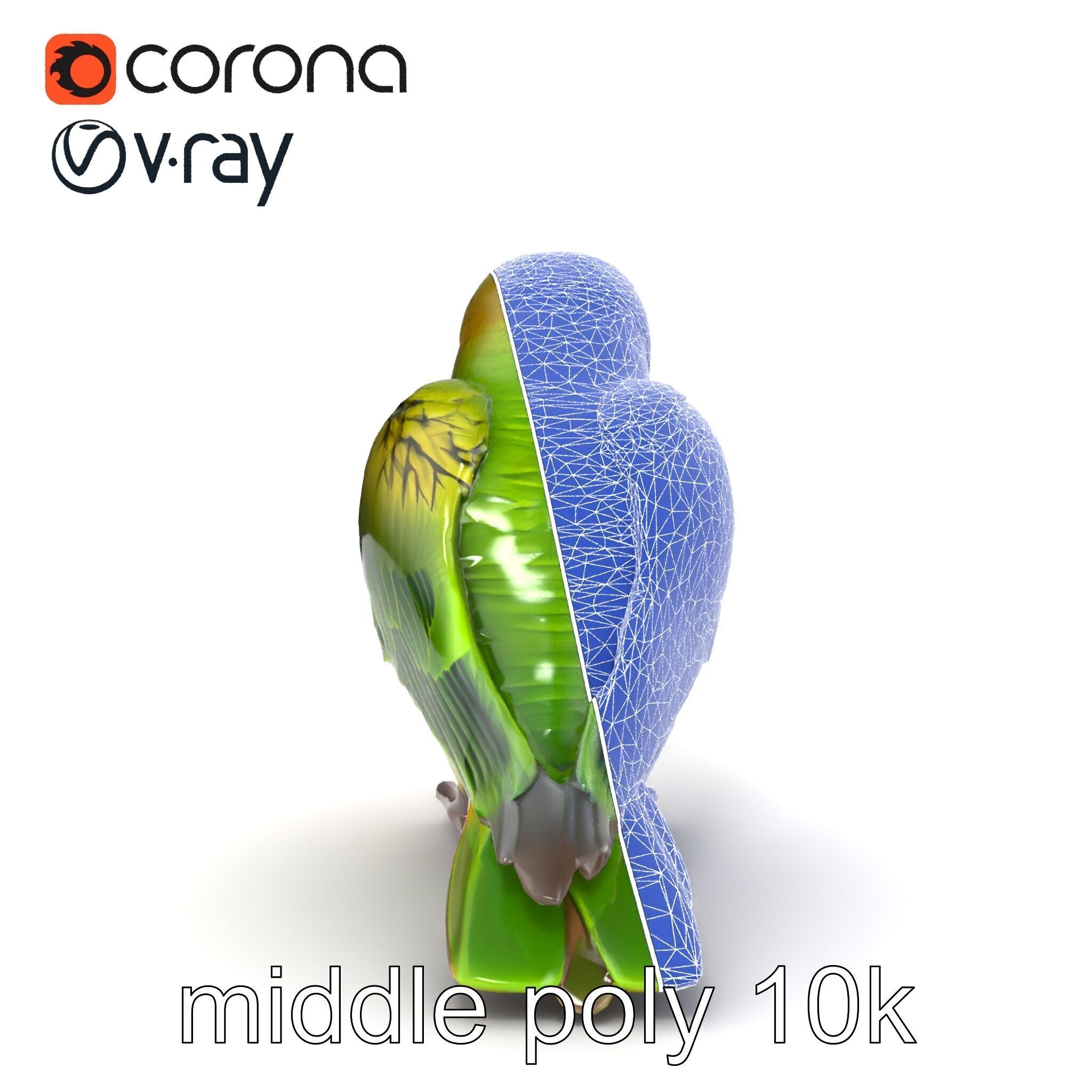 Senegal Parrot Realistic Bird Model Pack Low-poly 3D model_21