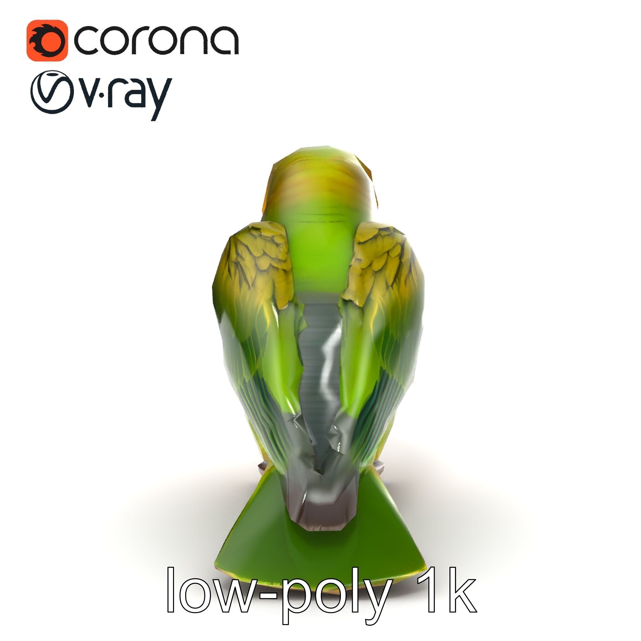 Senegal Parrot Realistic Bird Model Pack Low-poly 3D model_31