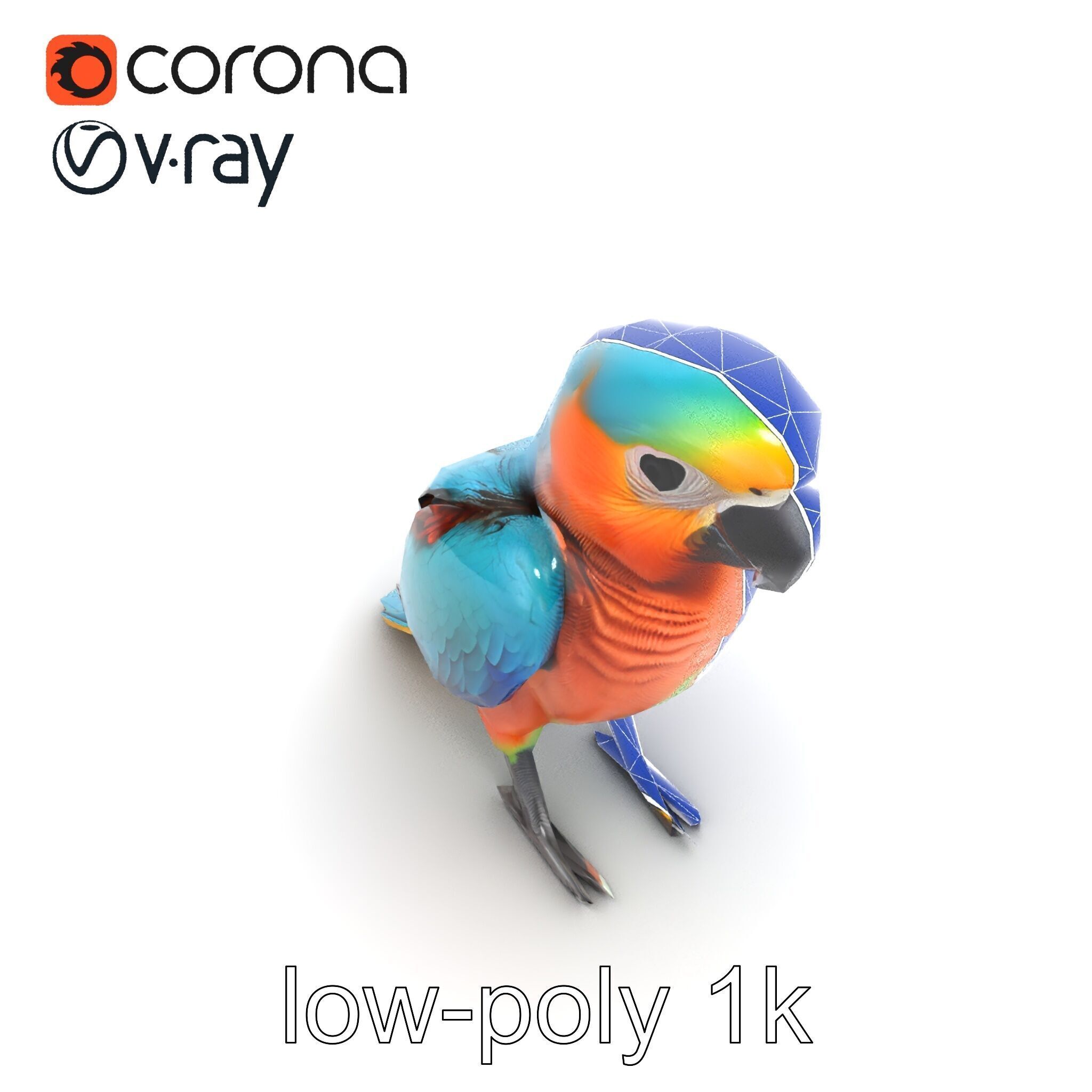 Colorful Parrot Species 3D Model Pack Low-poly 3D model_19