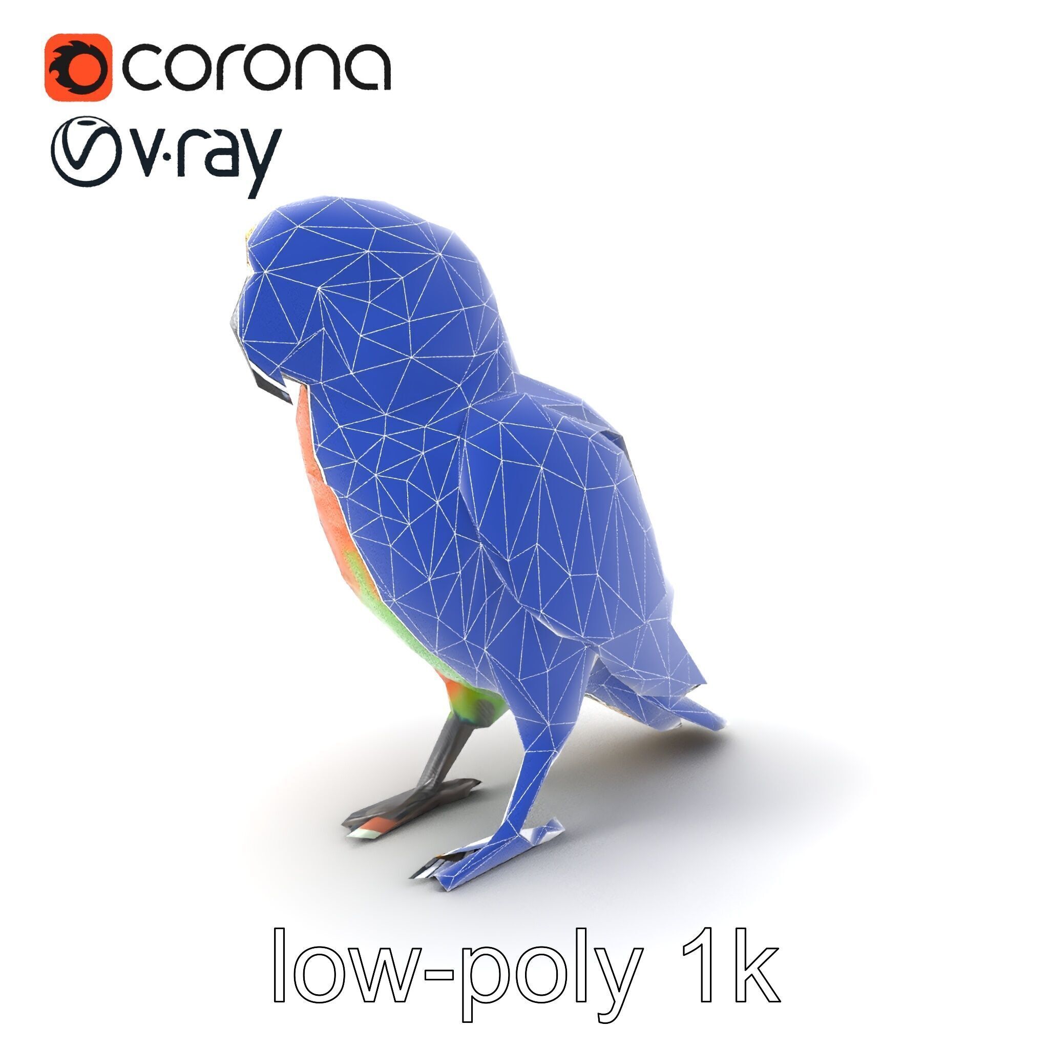 Colorful Parrot Species 3D Model Pack Low-poly 3D model_6