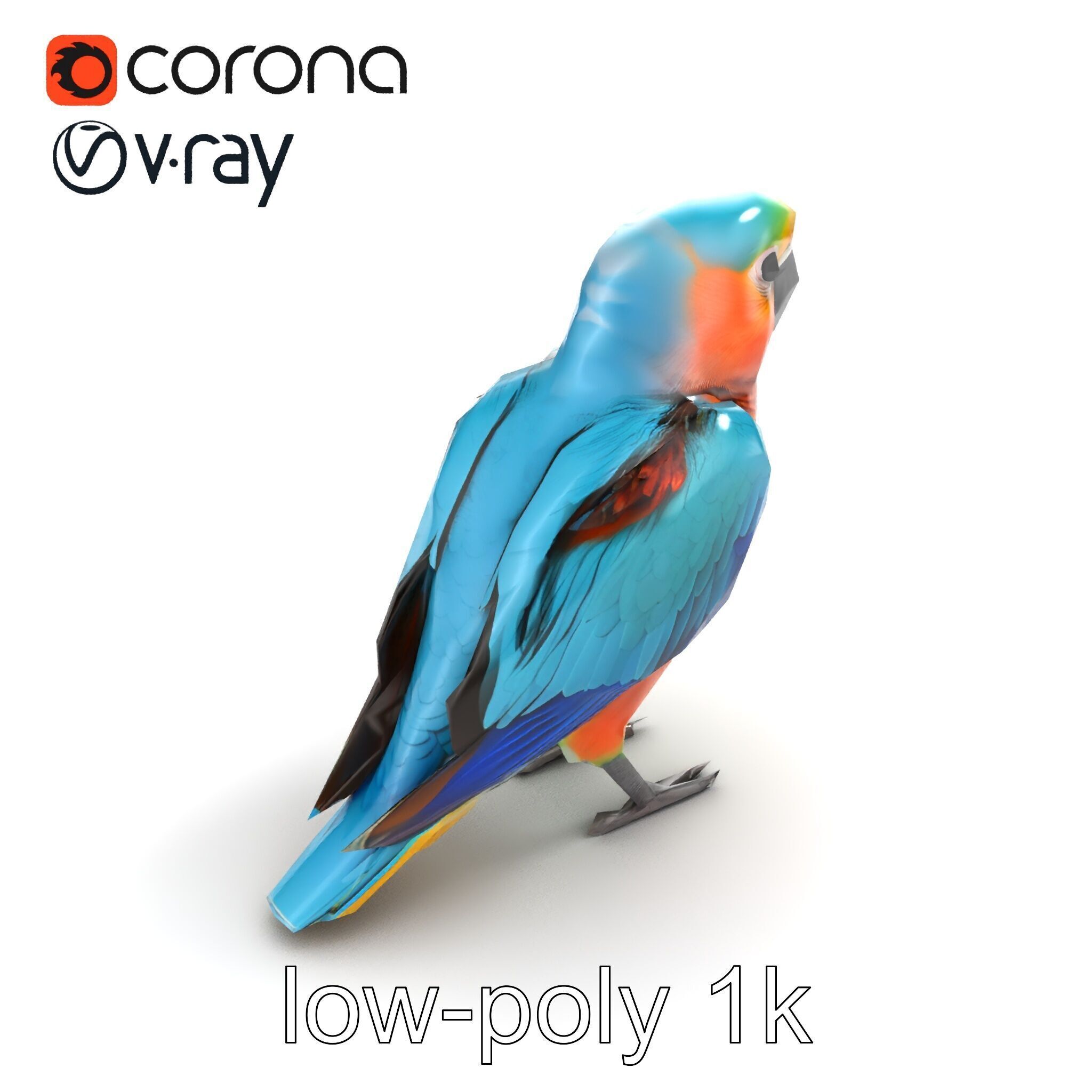 Colorful Parrot Species 3D Model Pack Low-poly 3D model_8