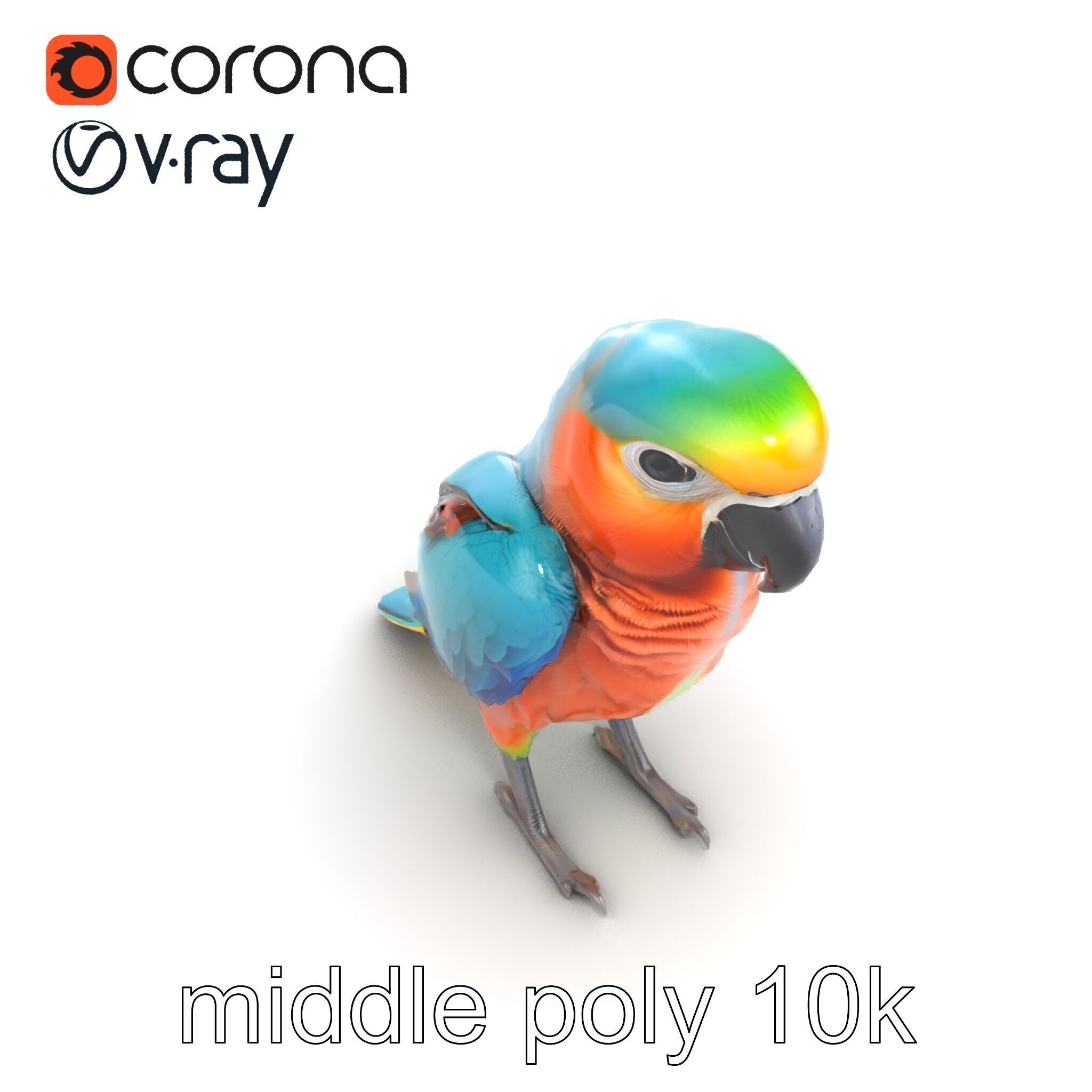 Colorful Parrot Species 3D Model Pack Low-poly 3D model_22