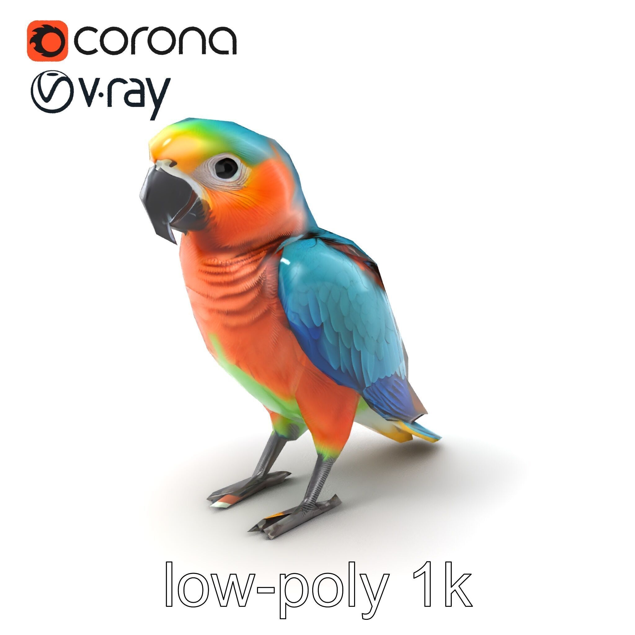 Colorful Parrot Species 3D Model Pack Low-poly 3D model_4