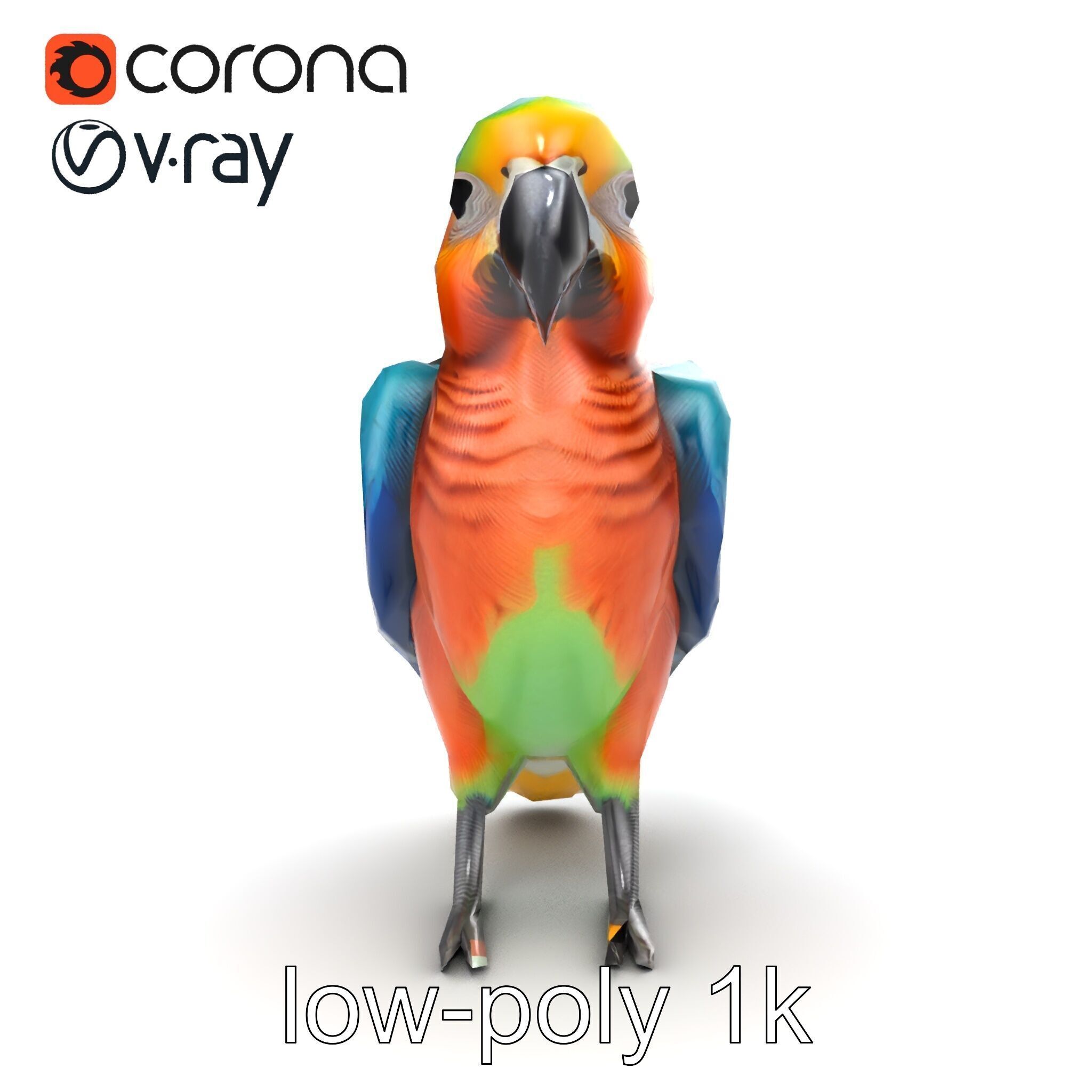 Colorful Parrot Species 3D Model Pack Low-poly 3D model_27