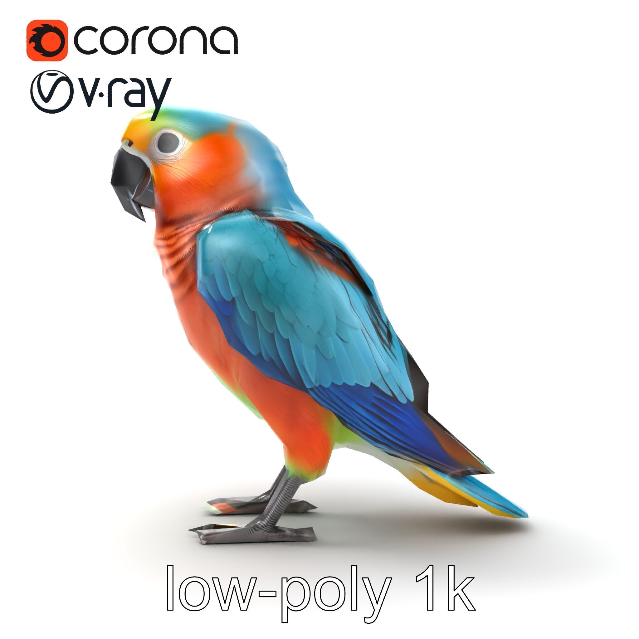 Colorful Parrot Species 3D Model Pack Low-poly 3D model_12