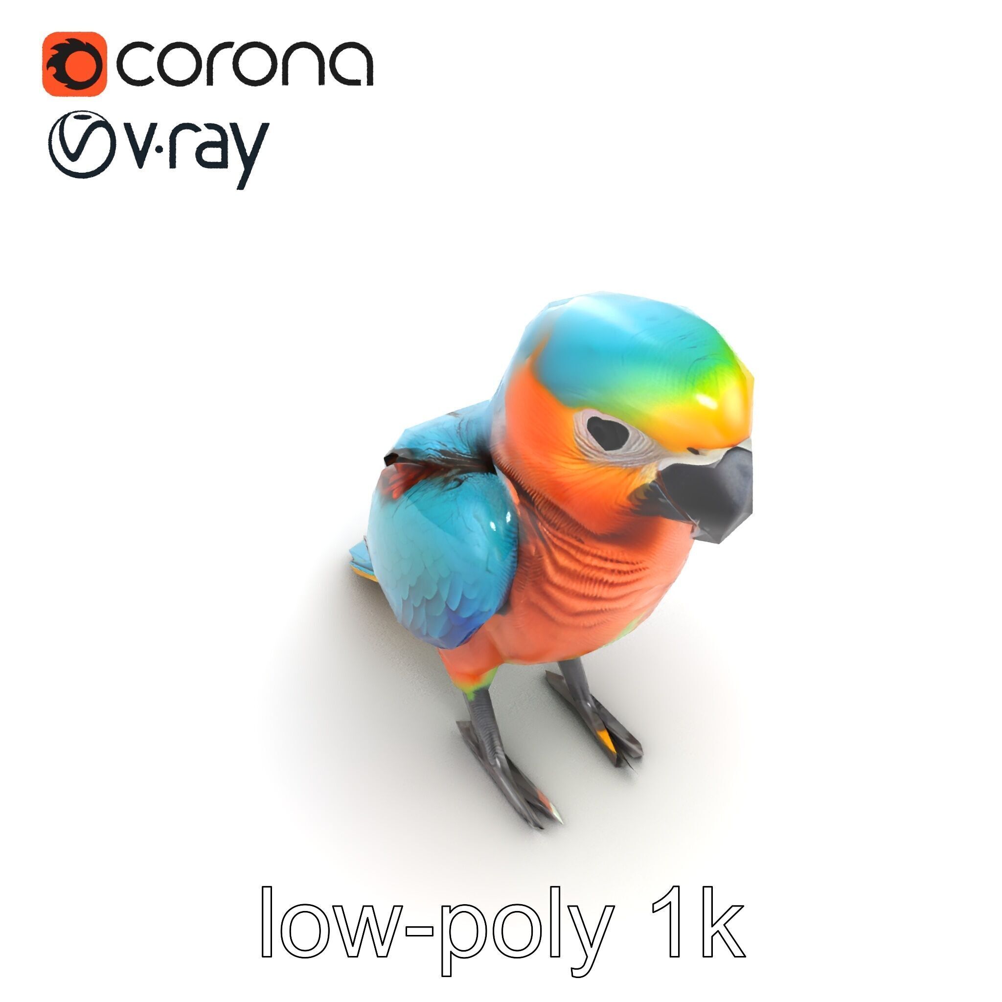 Colorful Parrot Species 3D Model Pack Low-poly 3D model_21