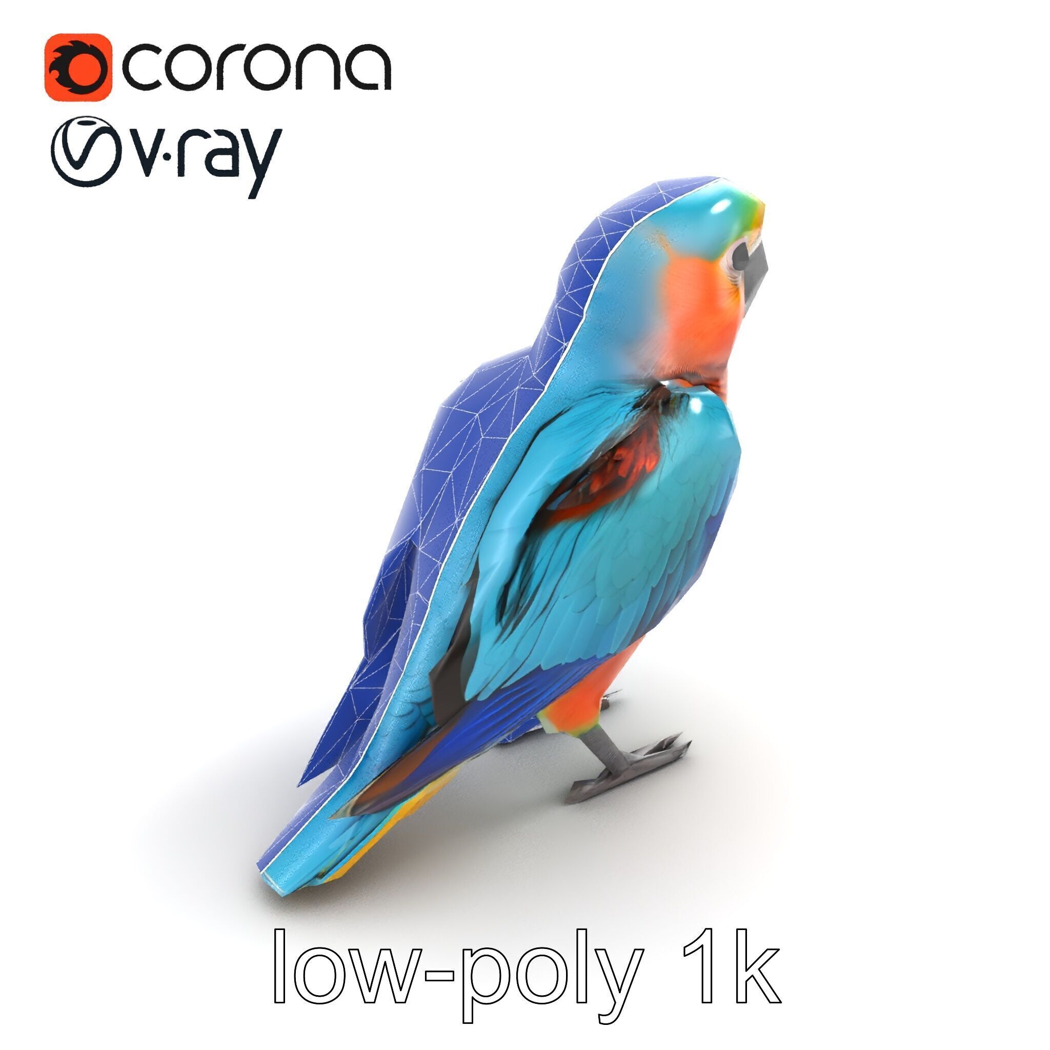 Colorful Parrot Species 3D Model Pack Low-poly 3D model_10