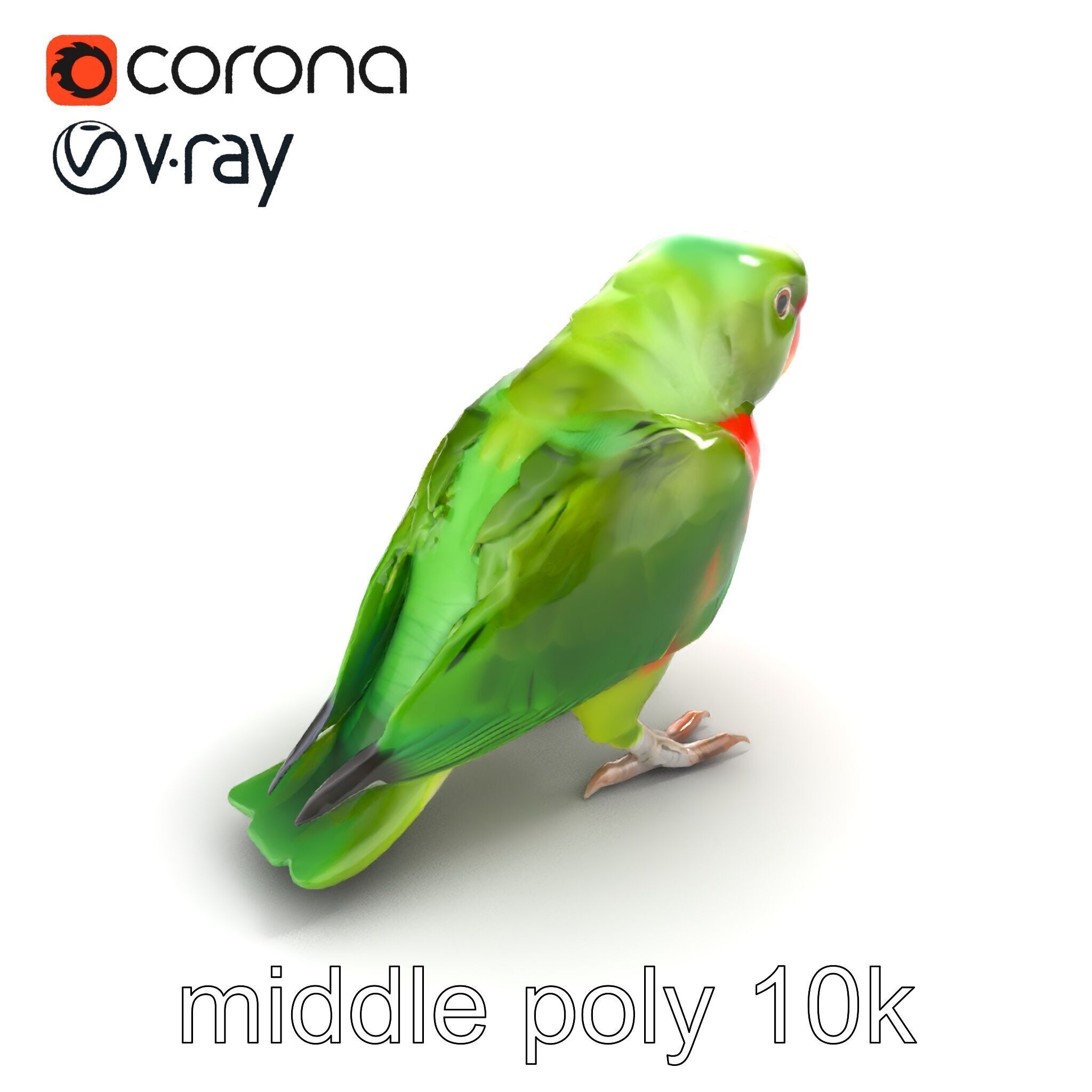 Eclectus Parrot Realistic Model Pack Low-poly 3D model_8