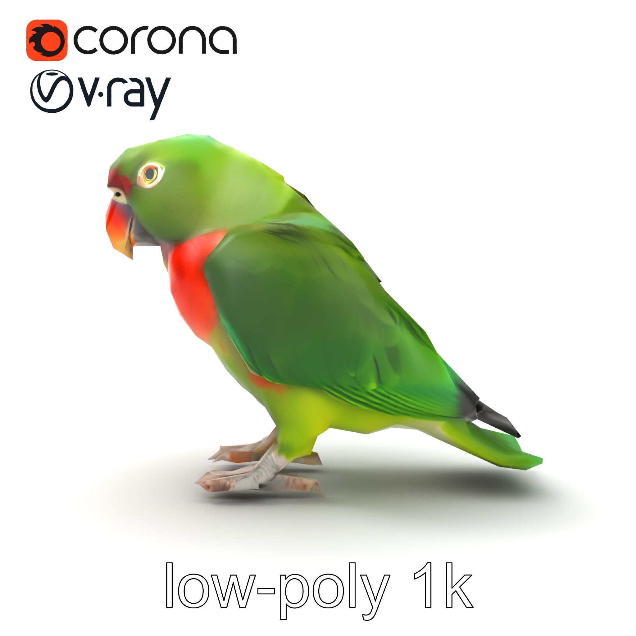 Eclectus Parrot Realistic Model Pack Low-poly 3D model_26