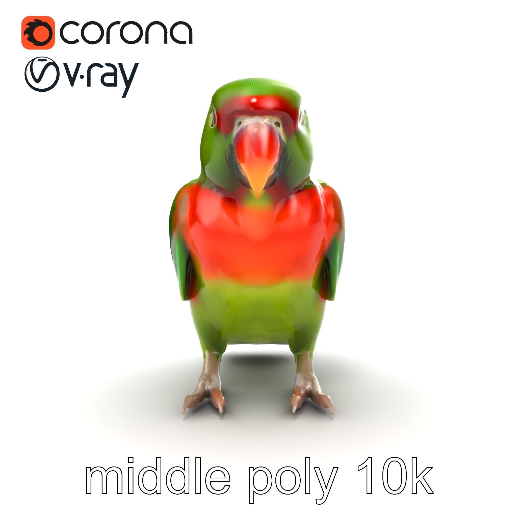 Eclectus Parrot Realistic Model Pack Low-poly 3D model_20