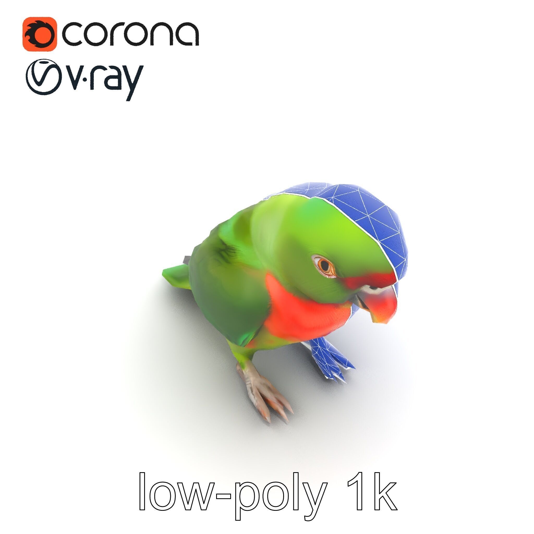Eclectus Parrot Realistic Model Pack Low-poly 3D model_14