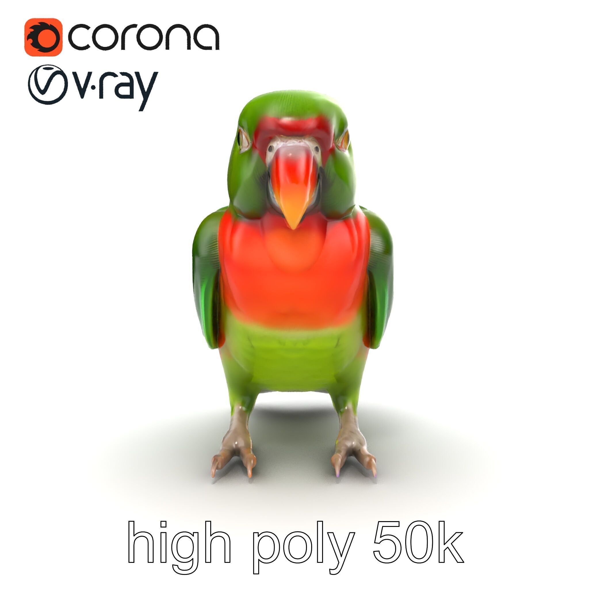 Eclectus Parrot Realistic Model Pack Low-poly 3D model_21