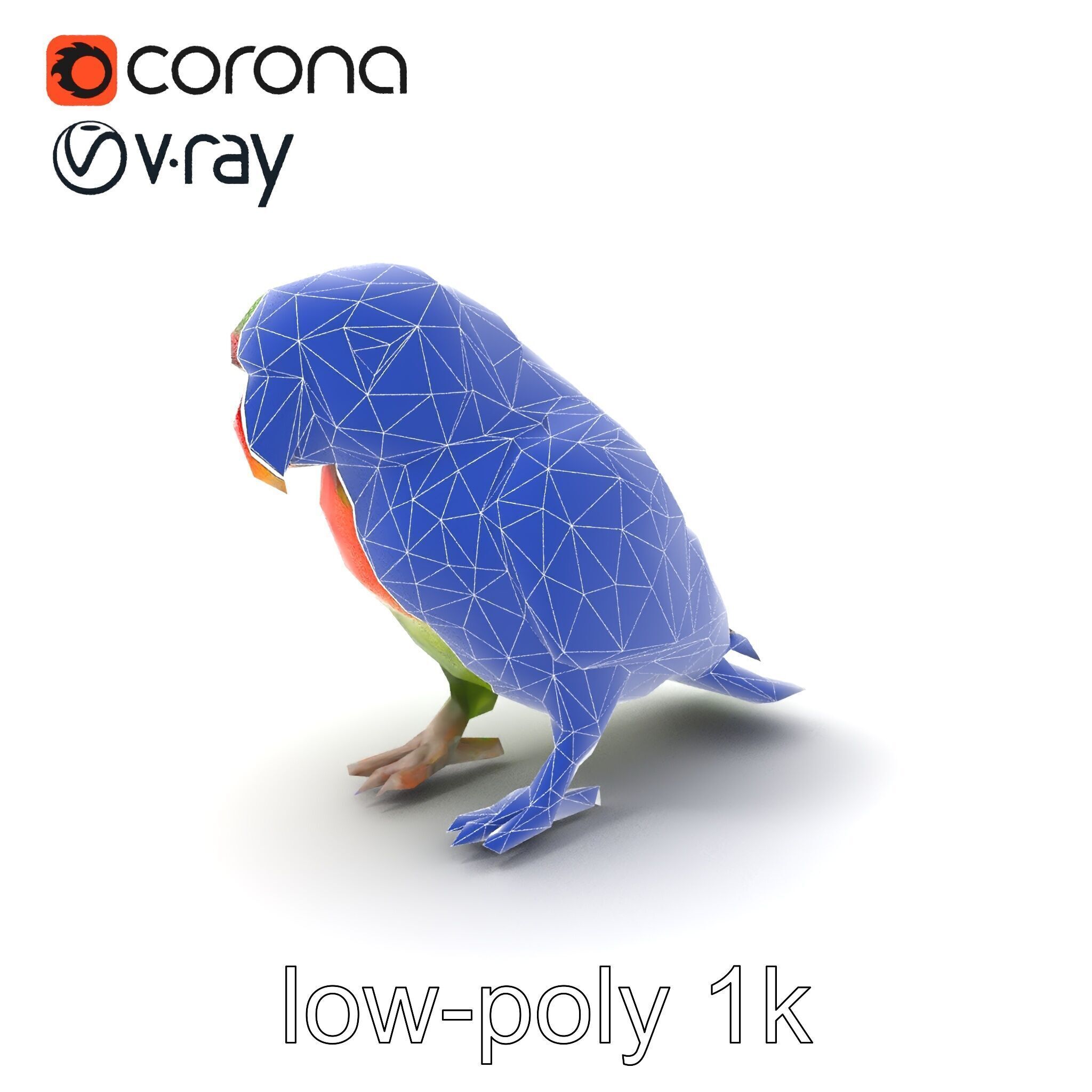Eclectus Parrot Realistic Model Pack Low-poly 3D model_7