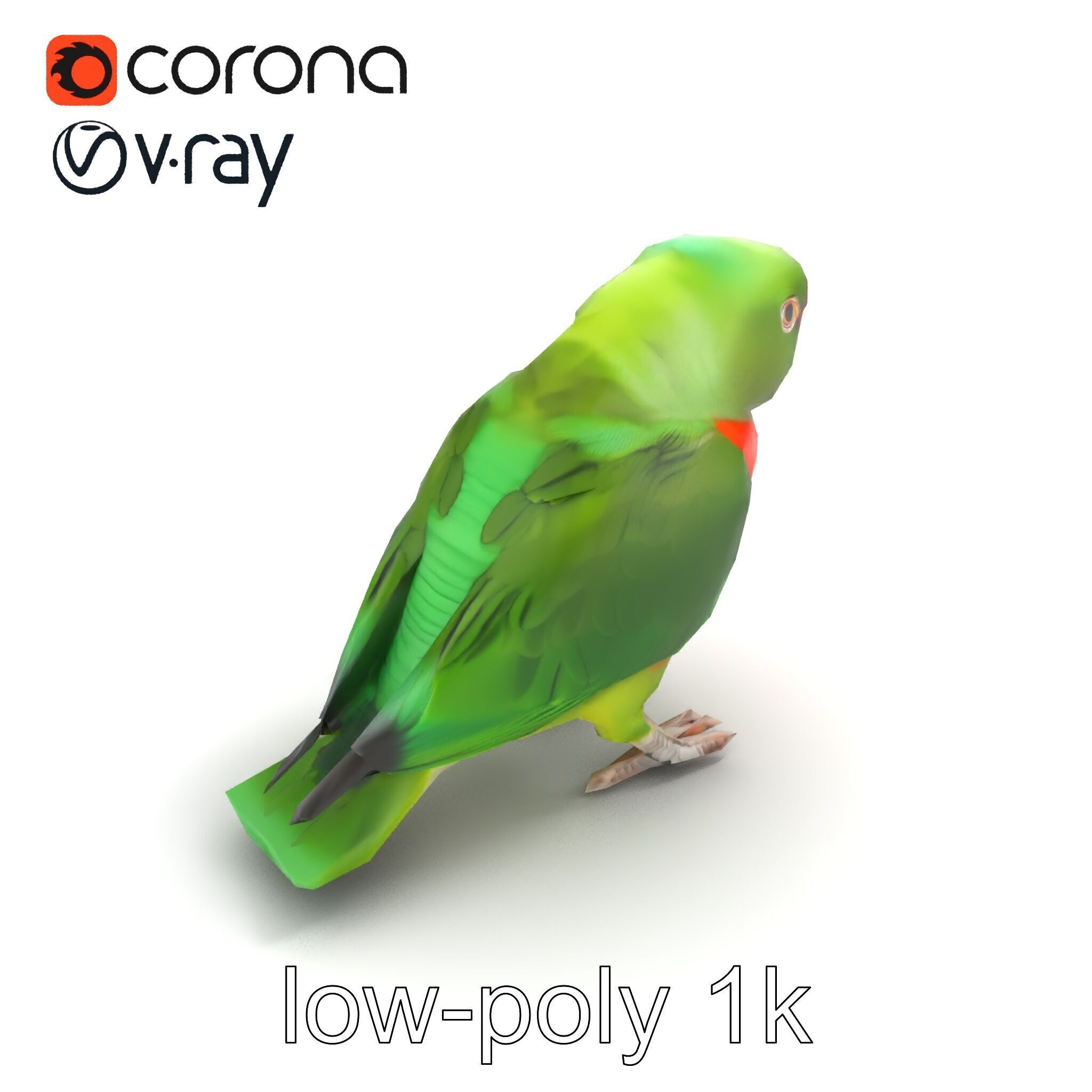 Eclectus Parrot Realistic Model Pack Low-poly 3D model_9