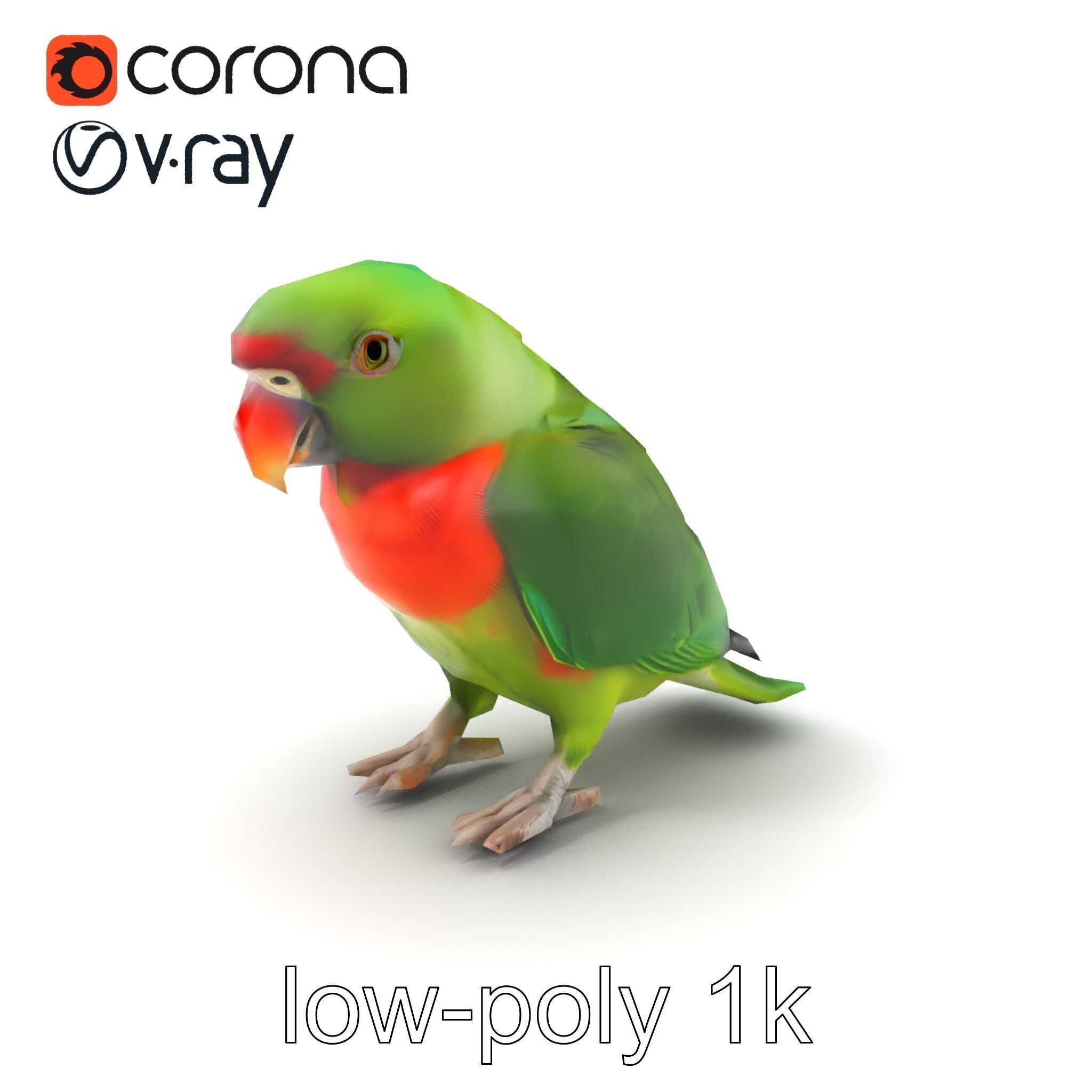 Eclectus Parrot Realistic Model Pack Low-poly 3D model_5