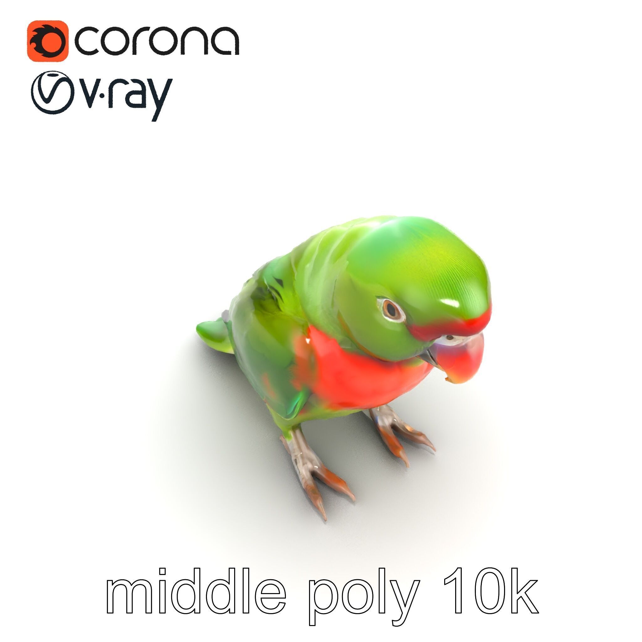 Eclectus Parrot Realistic Model Pack Low-poly 3D model_22