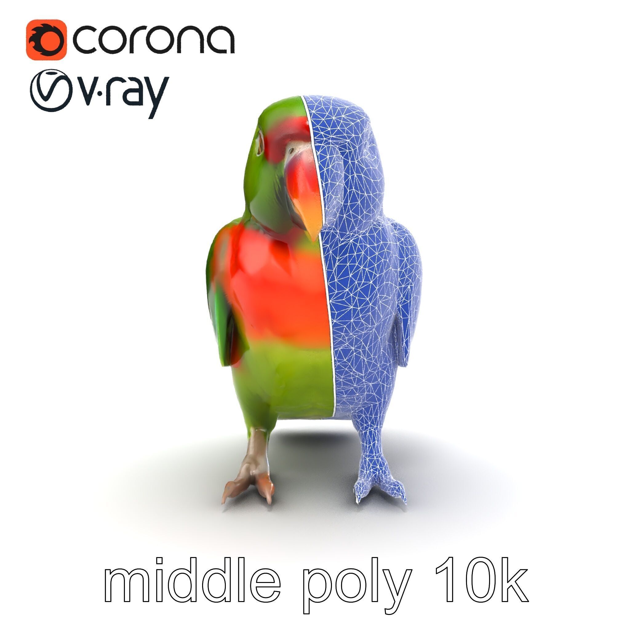 Eclectus Parrot Realistic Model Pack Low-poly 3D model_24