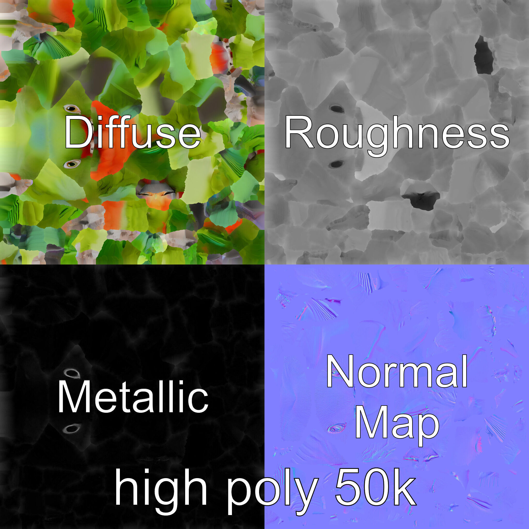 Eclectus Parrot Realistic Model Pack Low-poly 3D model_3