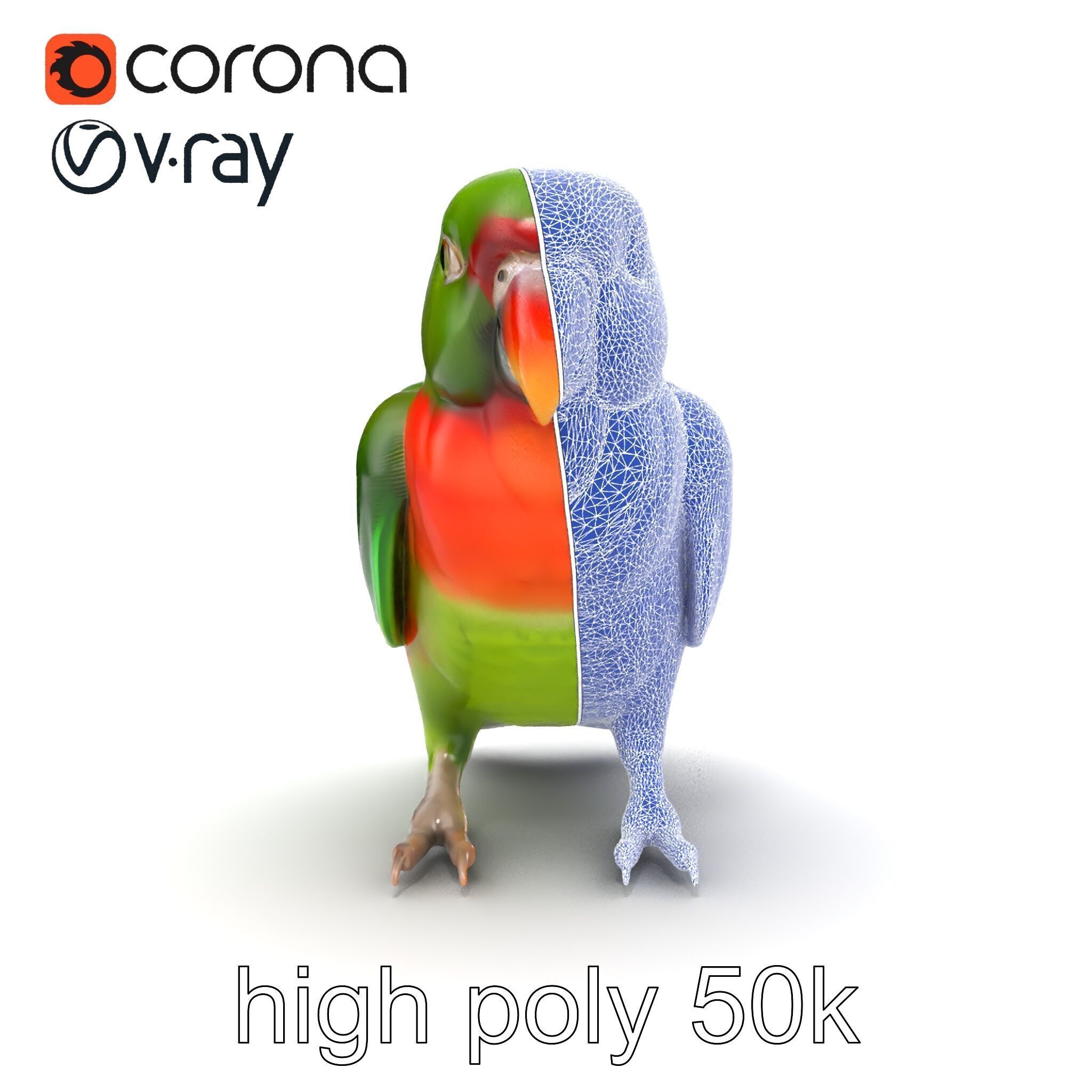 Eclectus Parrot Realistic Model Pack Low-poly 3D model_29