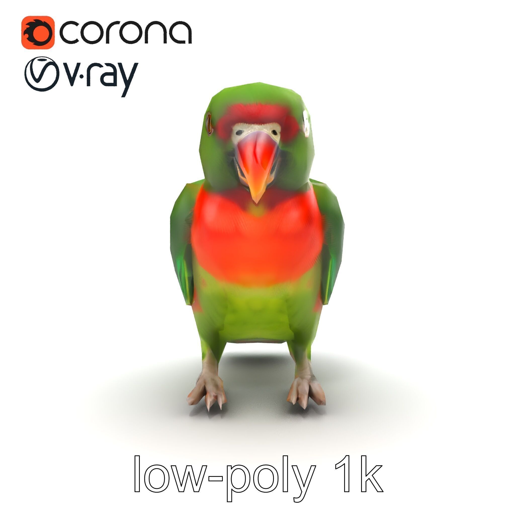 Eclectus Parrot Realistic Model Pack Low-poly 3D model_18