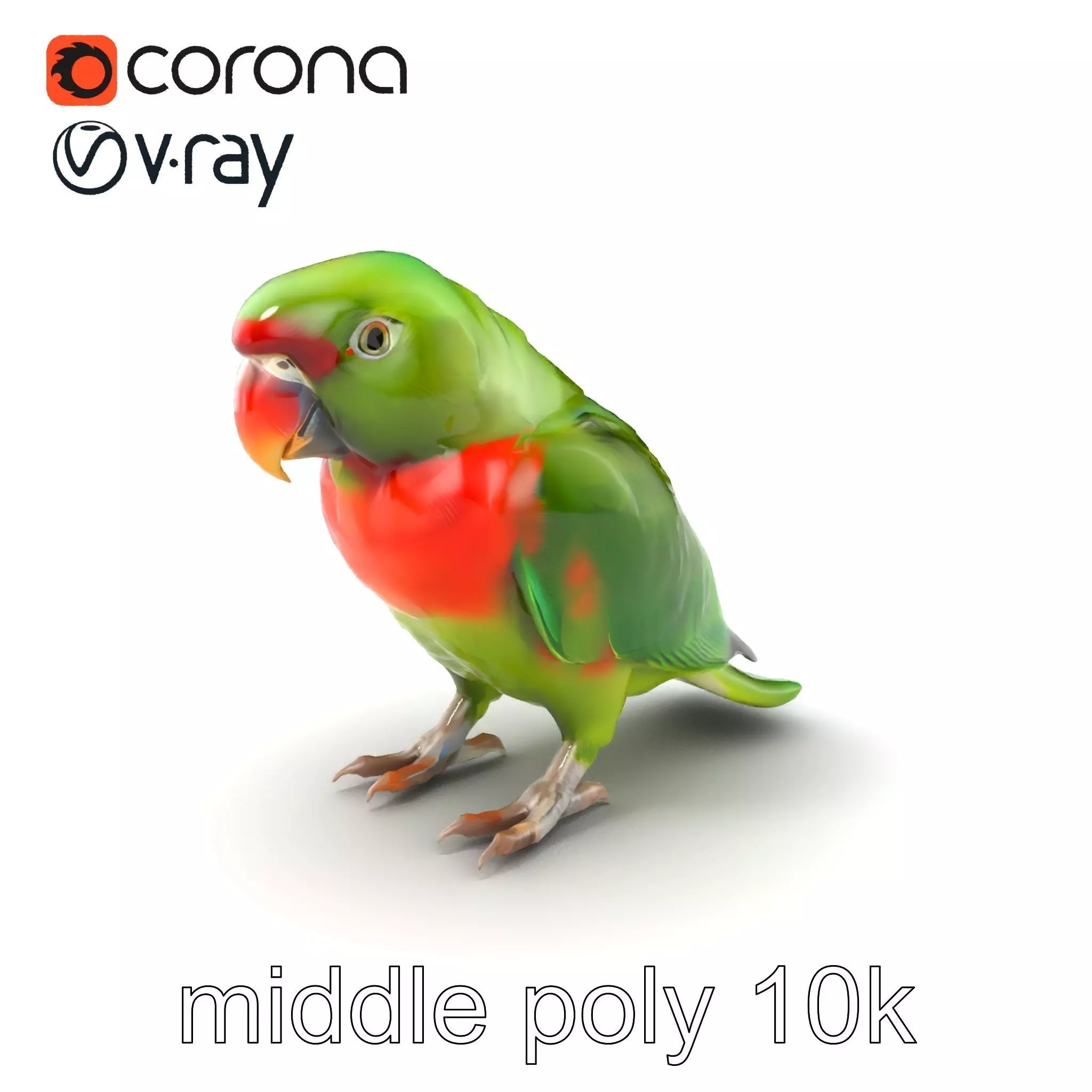 Eclectus Parrot Realistic Model Pack Low-poly 3D model_0