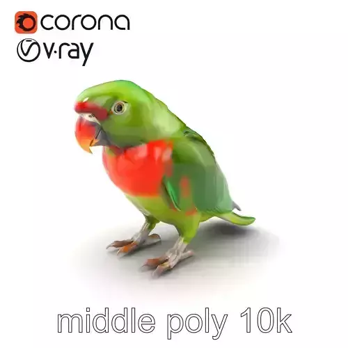 Eclectus Parrot Realistic Model Pack