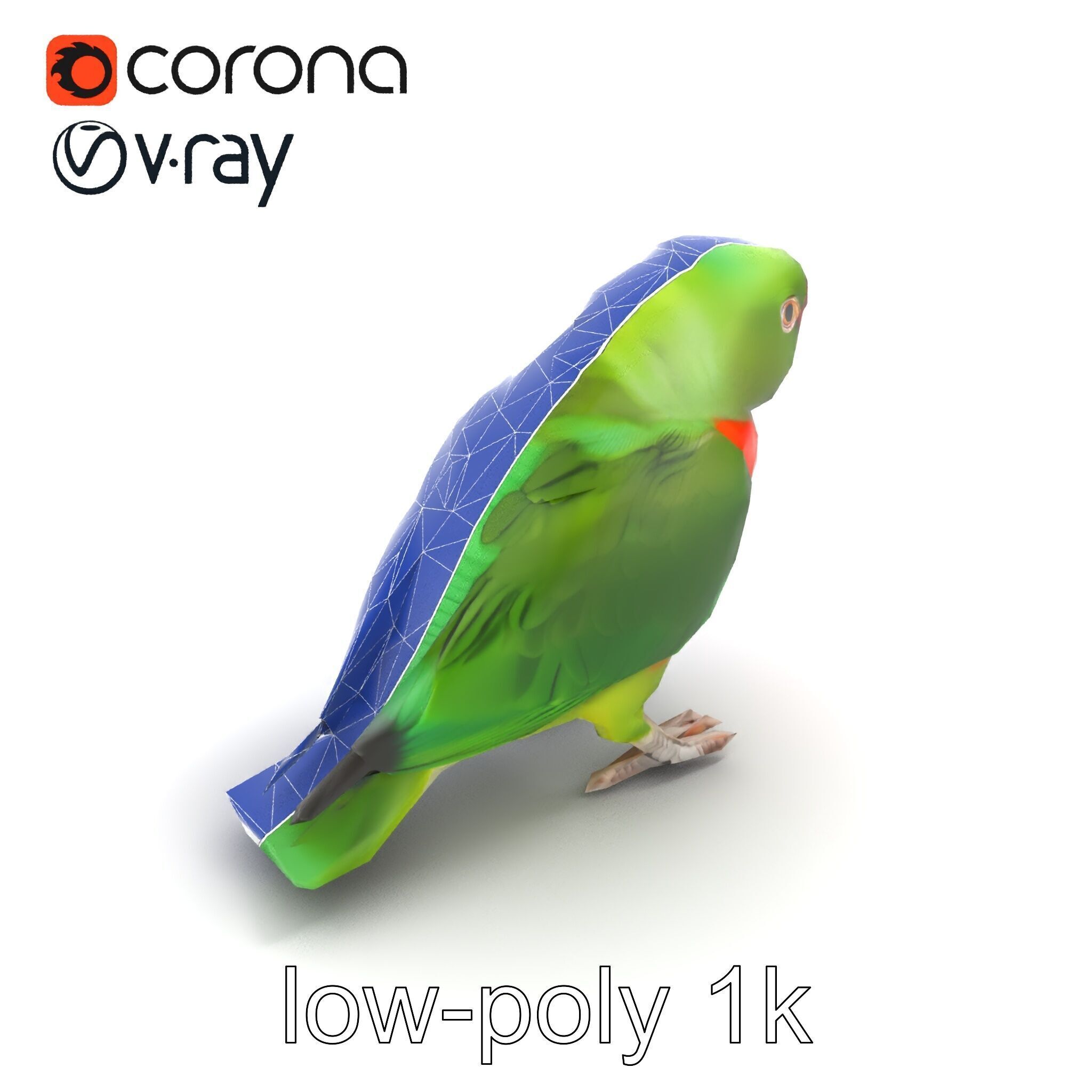 Eclectus Parrot Realistic Model Pack Low-poly 3D model_11