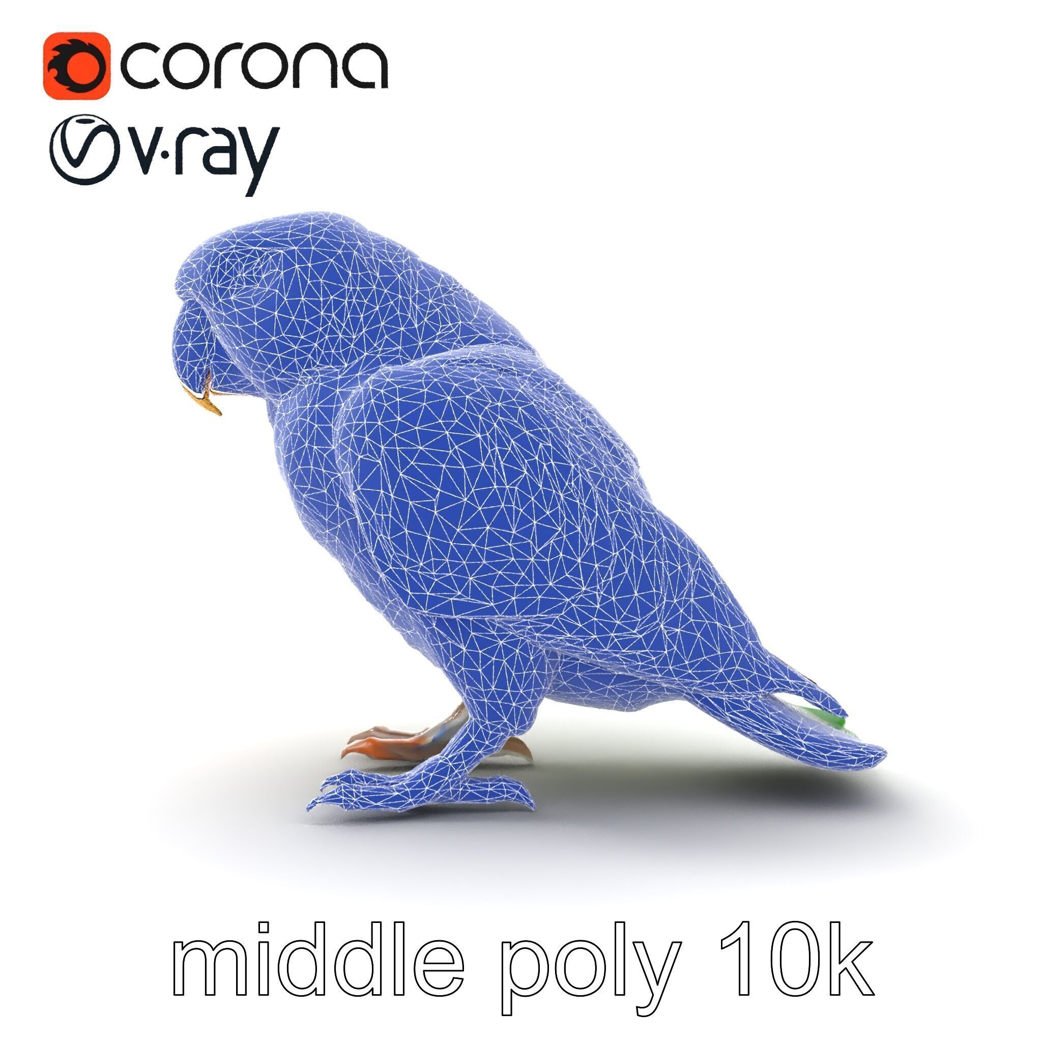 Eclectus Parrot Realistic Model Pack Low-poly 3D model_32