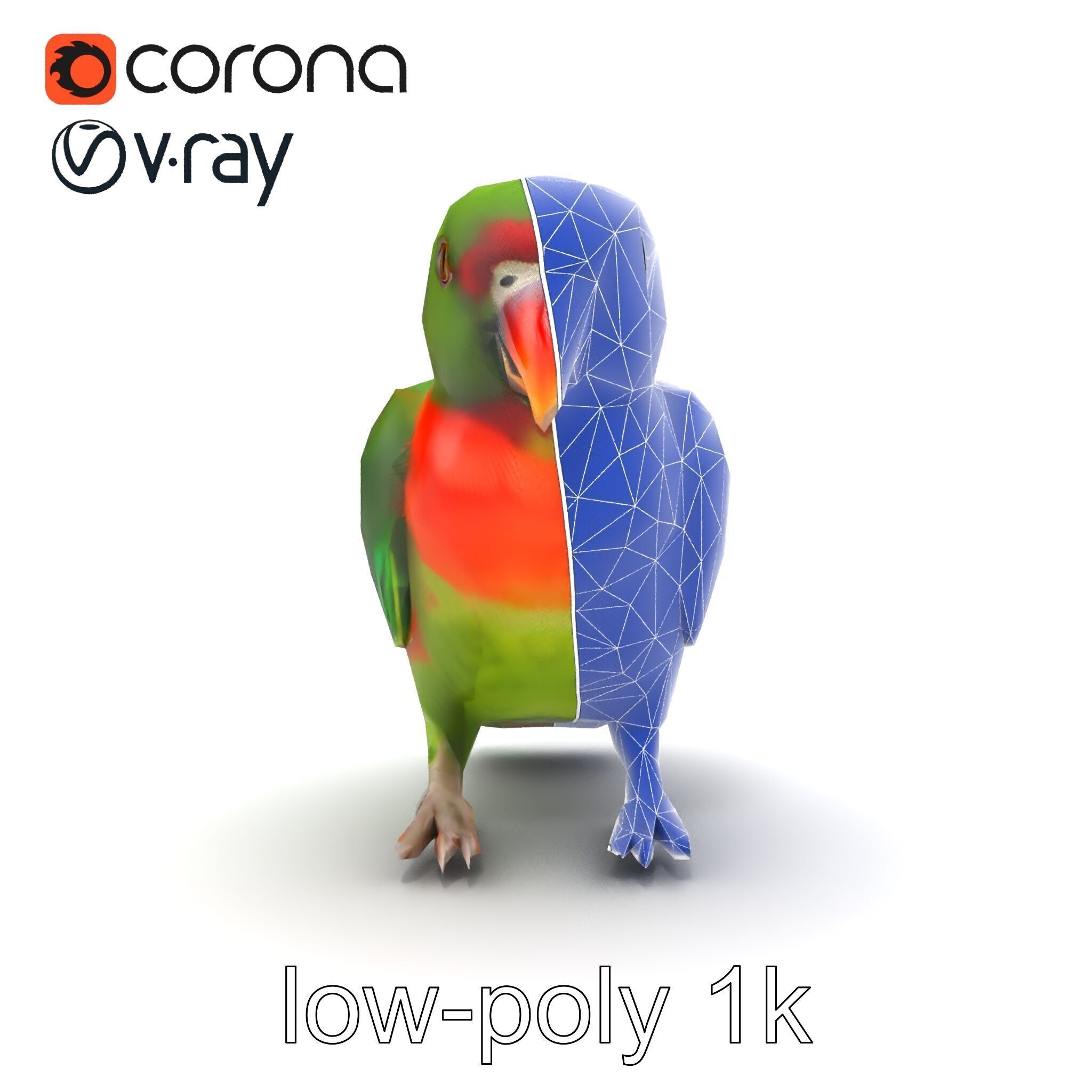 Eclectus Parrot Realistic Model Pack Low-poly 3D model_17