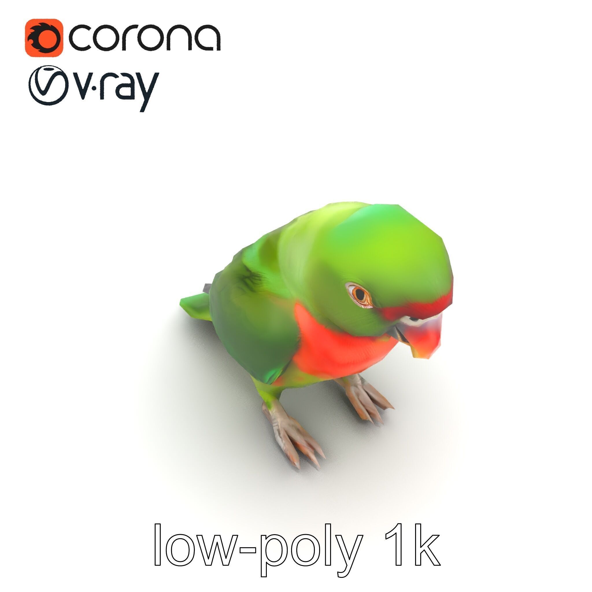 Eclectus Parrot Realistic Model Pack Low-poly 3D model_30