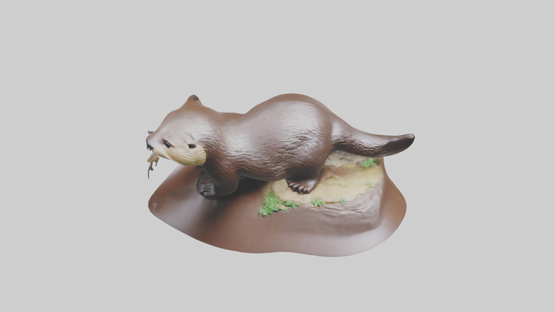 River Otter sliding model Low-poly 3D model_16
