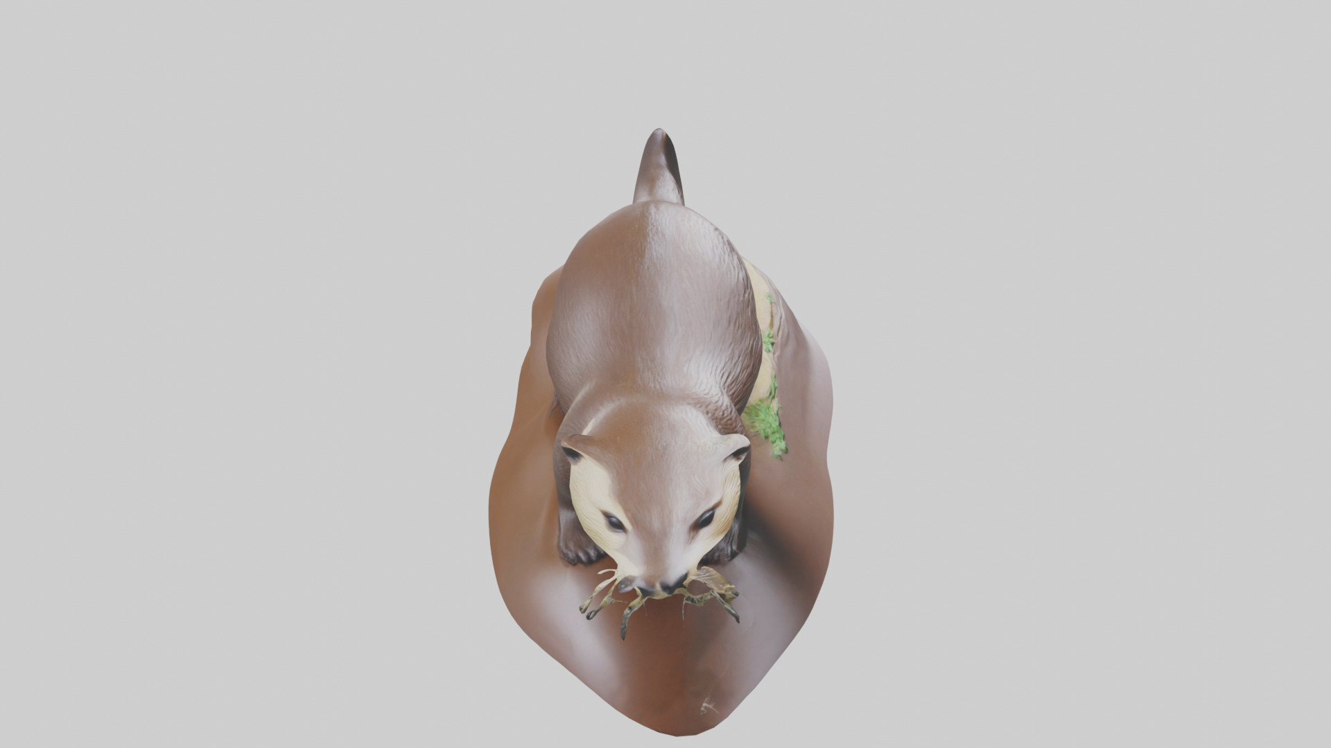 River Otter sliding model Low-poly 3D model_18