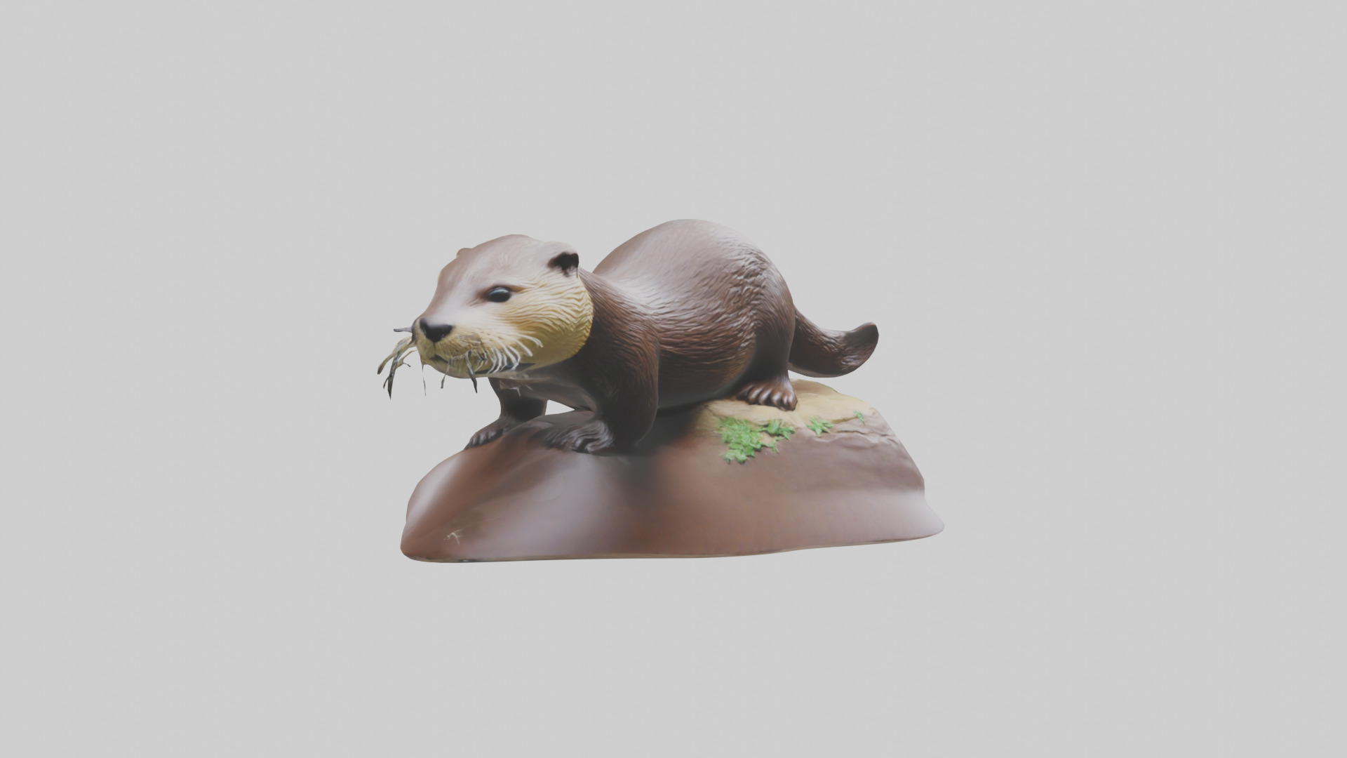 River Otter sliding model Low-poly 3D model_11