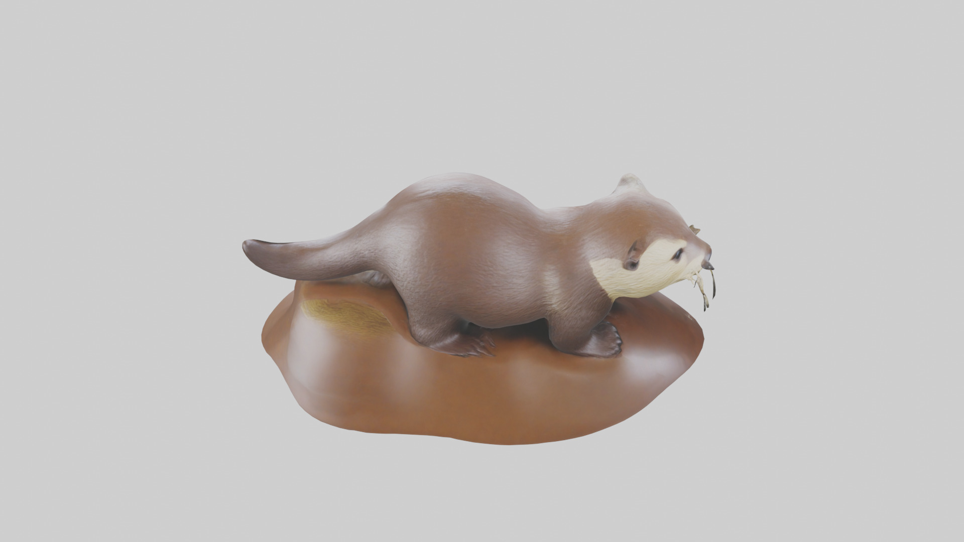 River Otter sliding model Low-poly 3D model_15