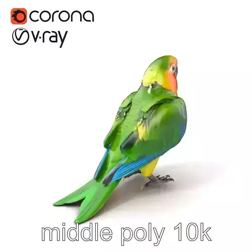 Parrot Realistic Model Collection Pack Low-poly 3D model