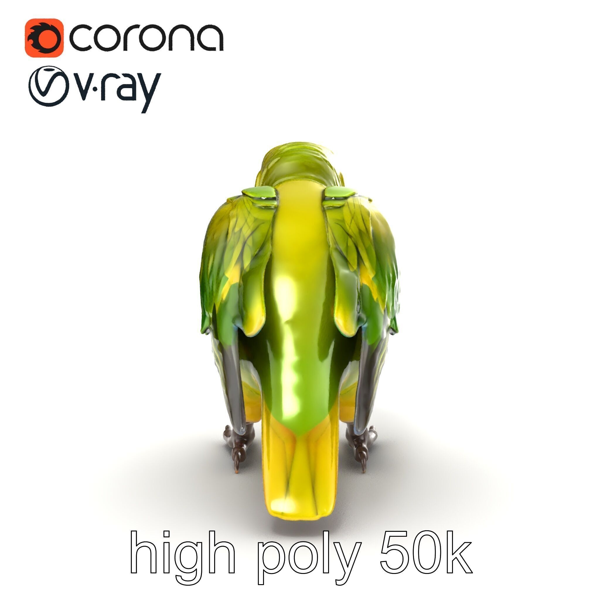 Amazon Parrot Realistic Bird 3D Model Pack Low-poly 3D model_25