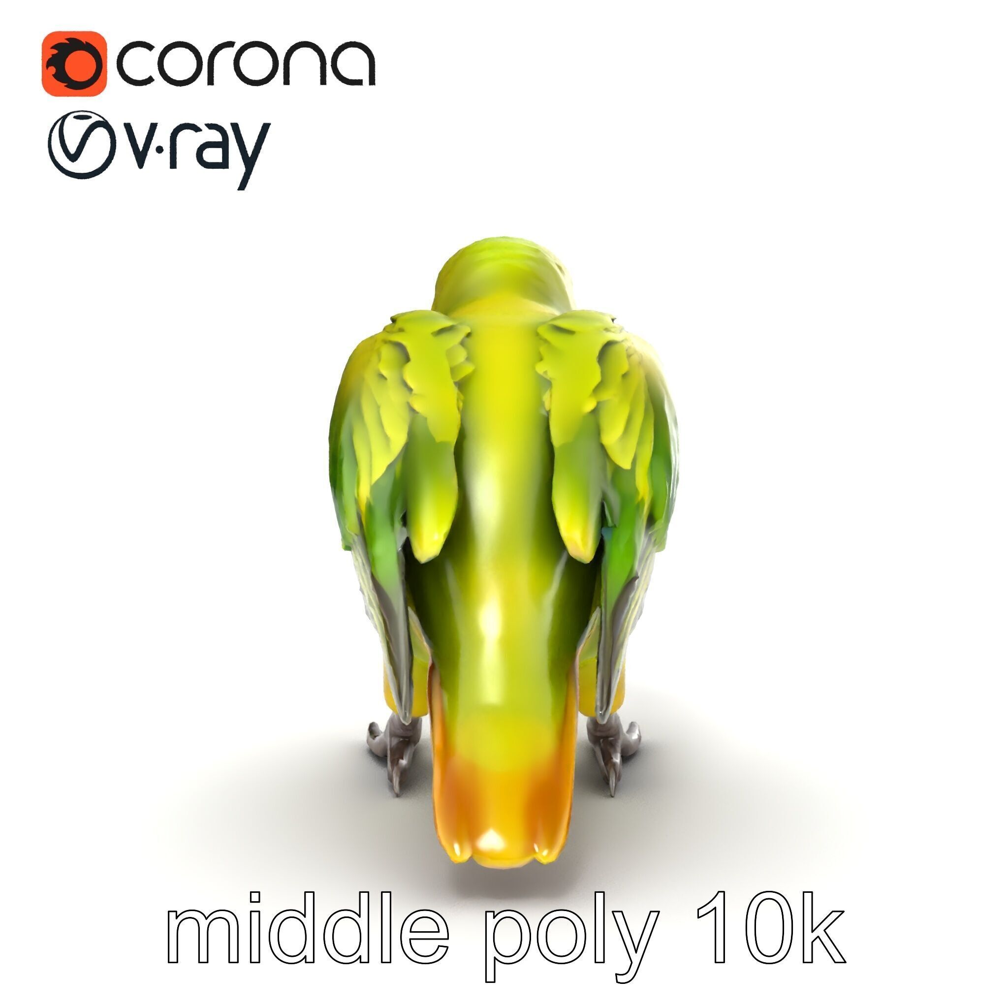 Amazon Parrot Realistic Bird 3D Model Pack Low-poly 3D model_17